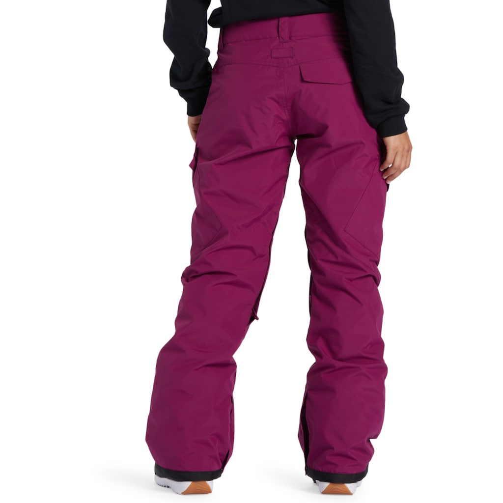 DC Shoes Snowboardhose »Nonchalant«