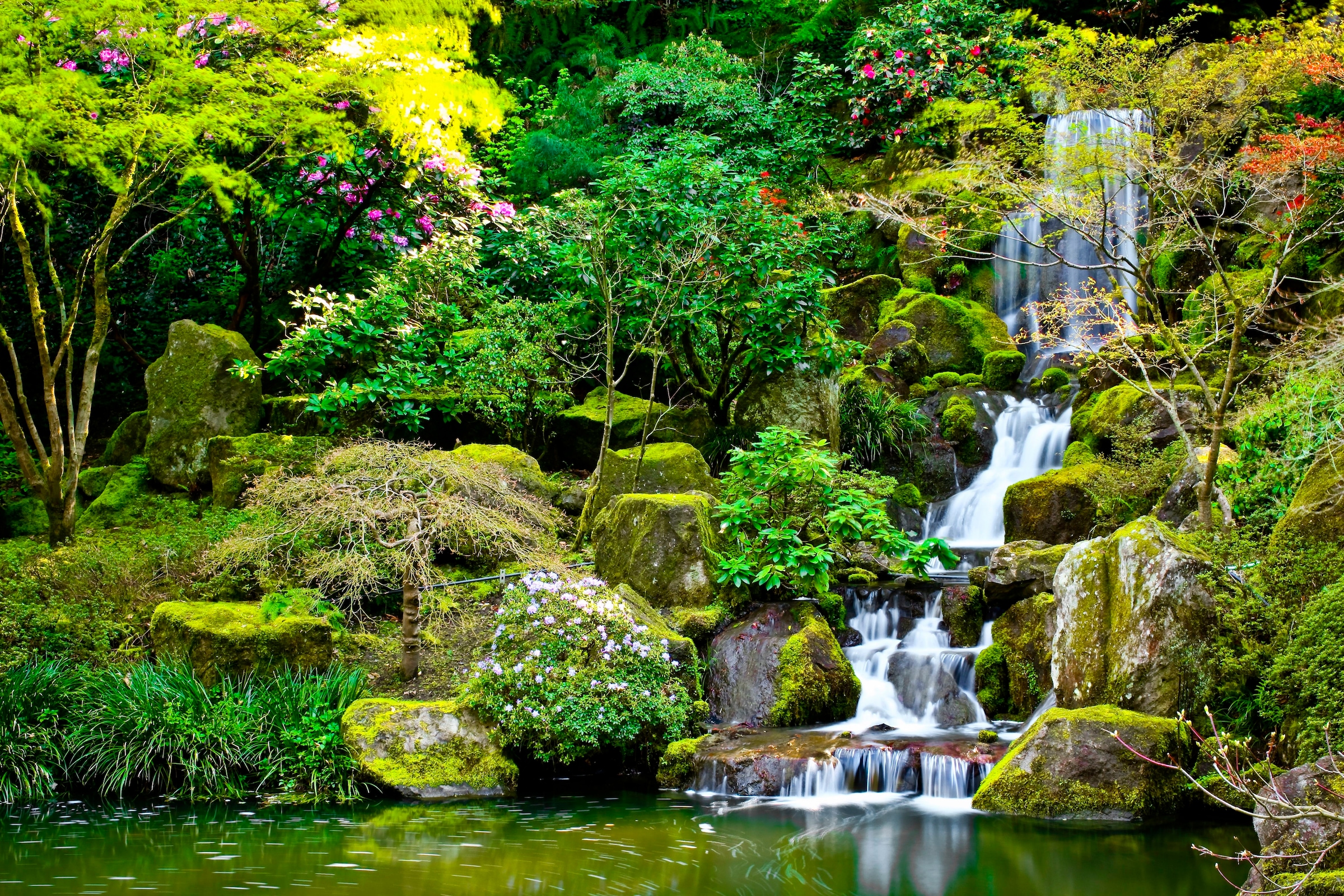 Papermoon Fototapete "Garden Pond" glatt