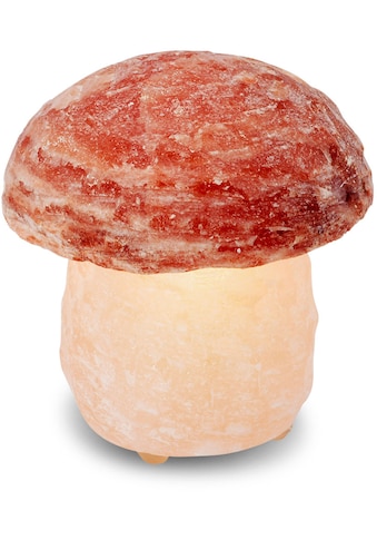 HIMALAYA SALT DREAMS Salzkristall-Tischlampe »Pilz« Handgef...