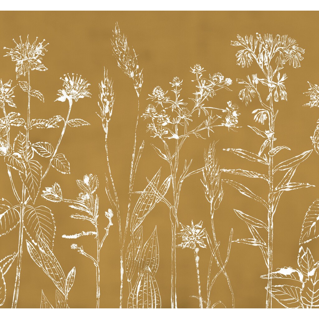 Art for the home Fototapete »Wiesenblumen«