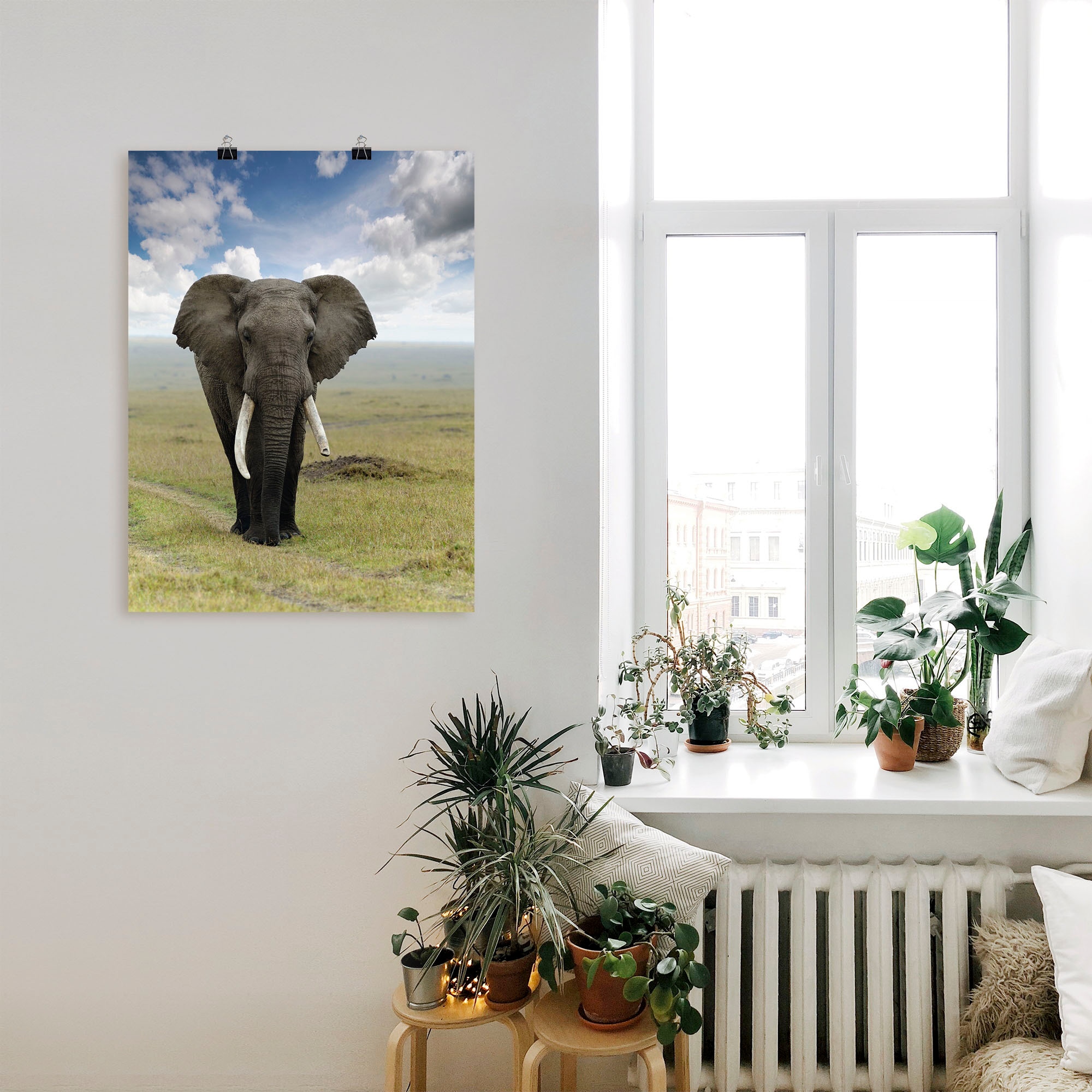Artland Wandbild »Elefant«, Wildtiere, (1 St.), als Alubild, Outdoorbild, Leinwandbild, Poster in verschied. Größen