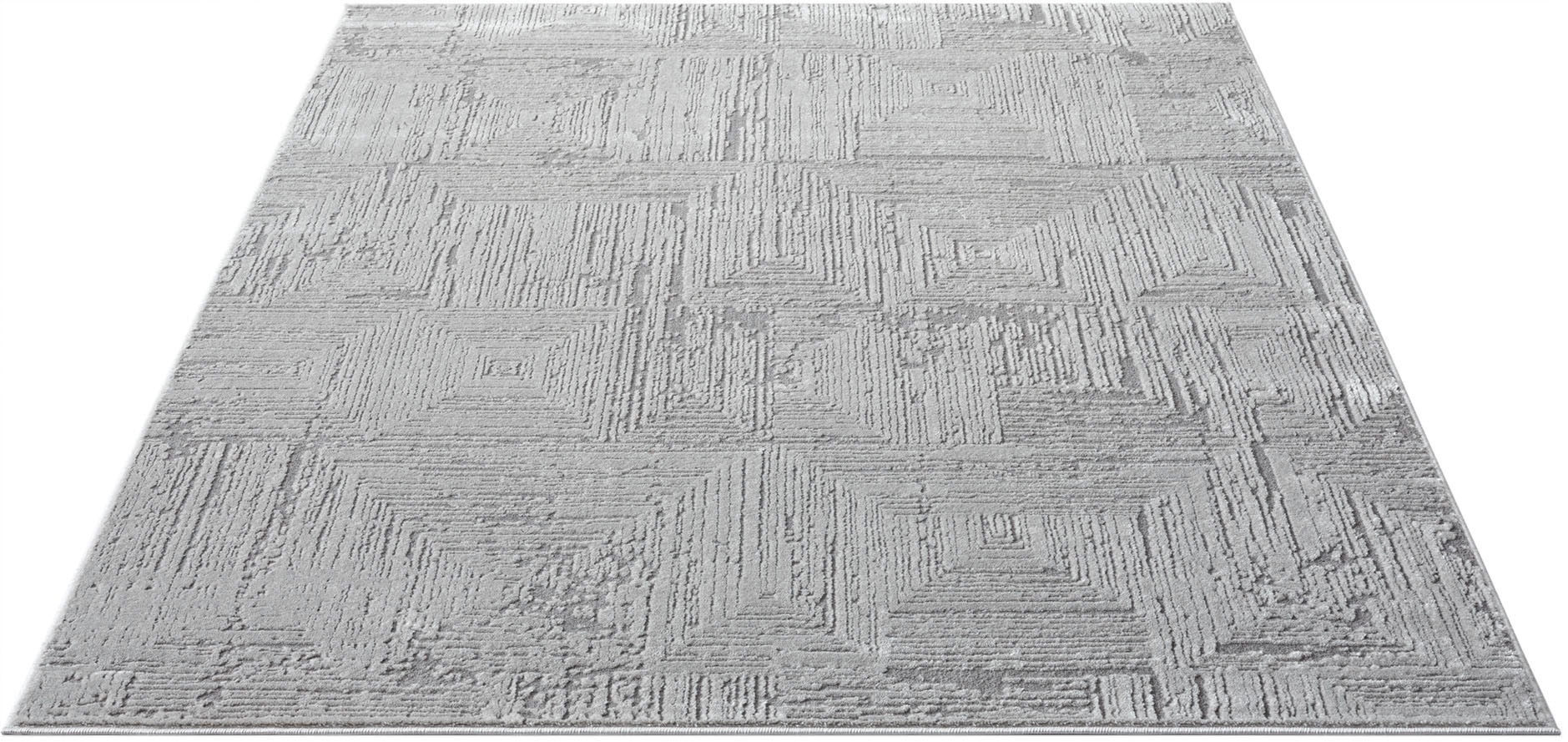 OTTO home Brakel Rug Gray 200x300cm 3