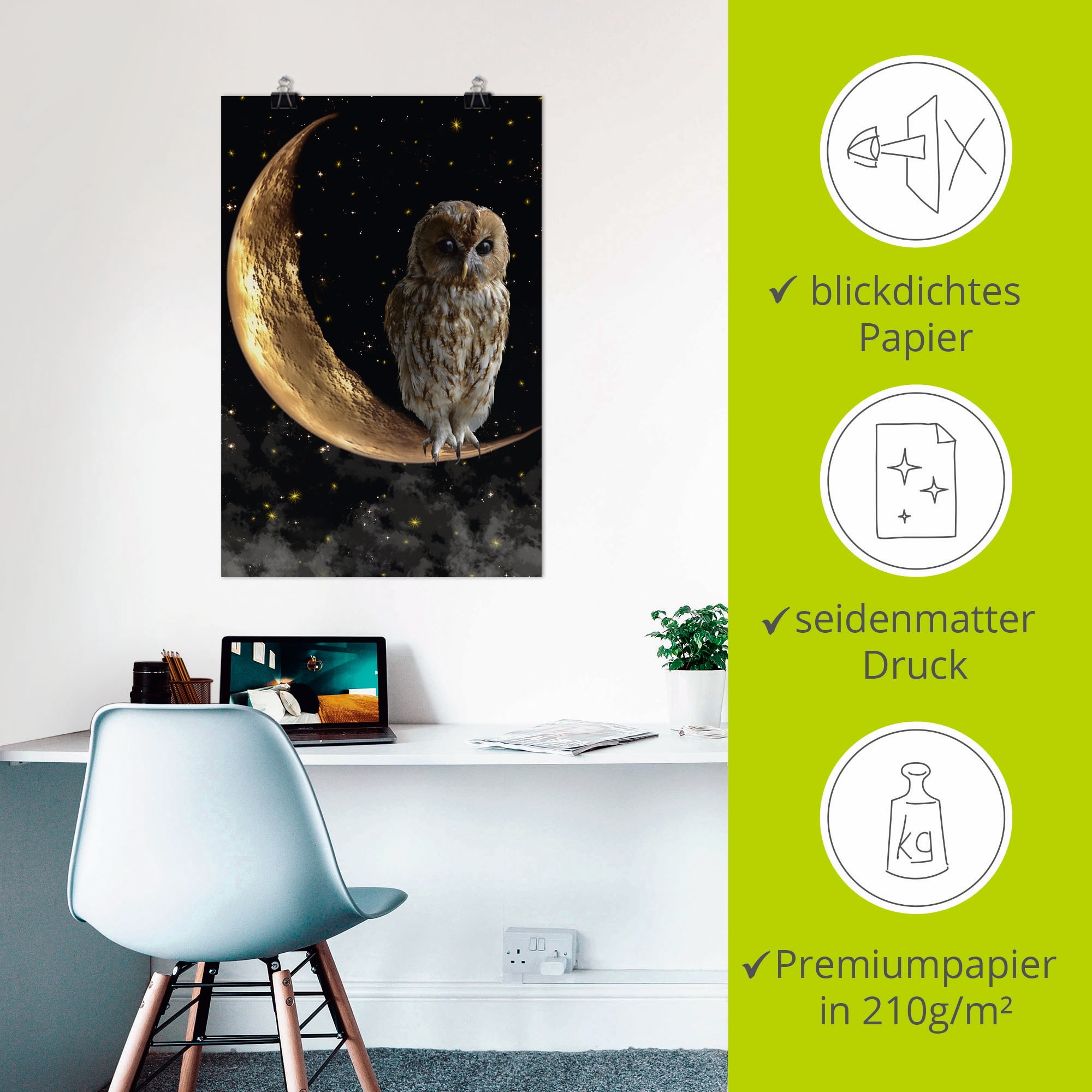 Artland Wandbild »Nachteule«, Vögel, (1 St.), als Alubild, Outdoorbild, Leinwandbild, Poster in verschied. Größen