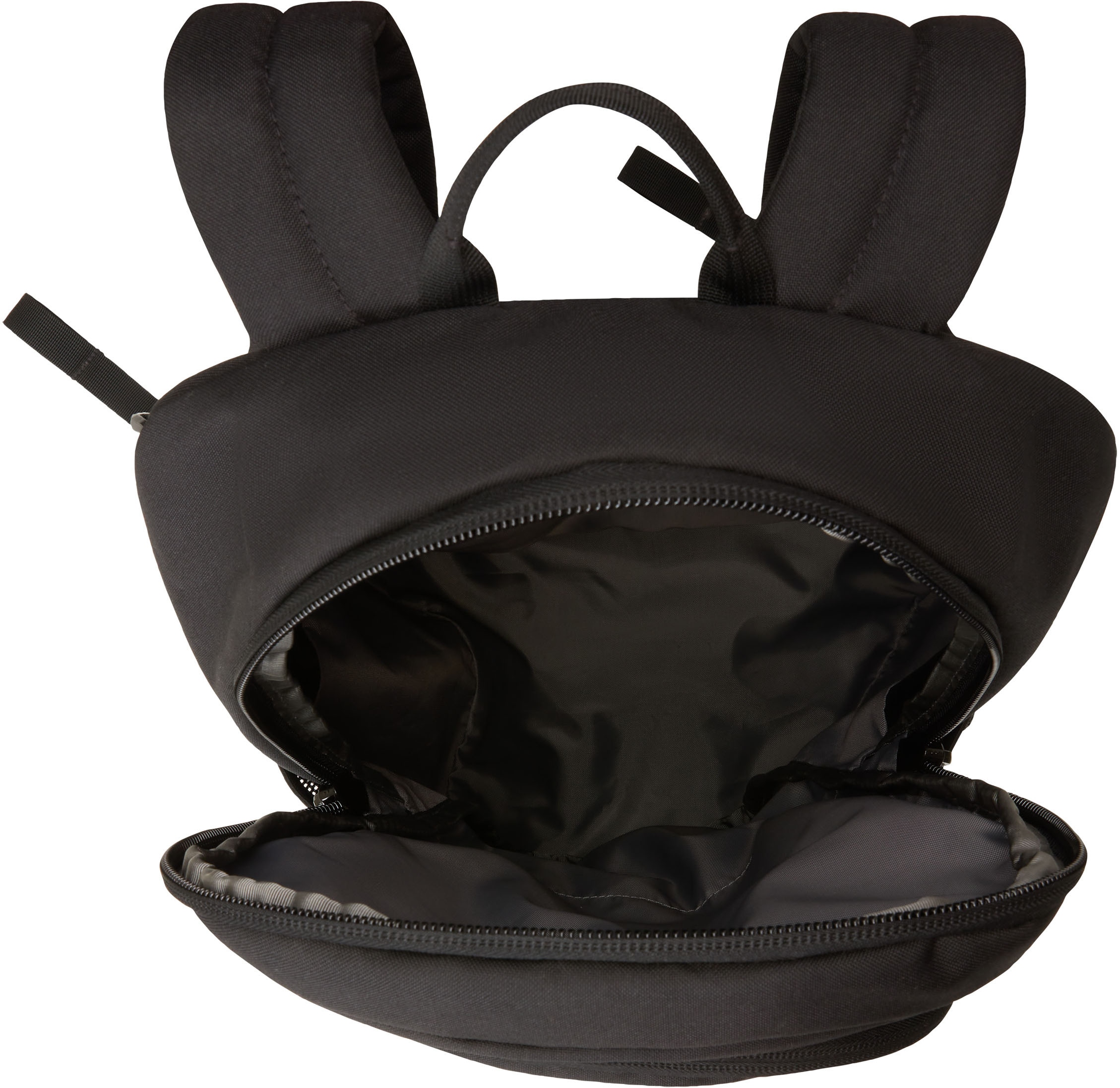 The North Face Sportrucksack »RODEY« für Erwachsene, 27 Liter Volumen, mit Logostickerei, aus Polyester