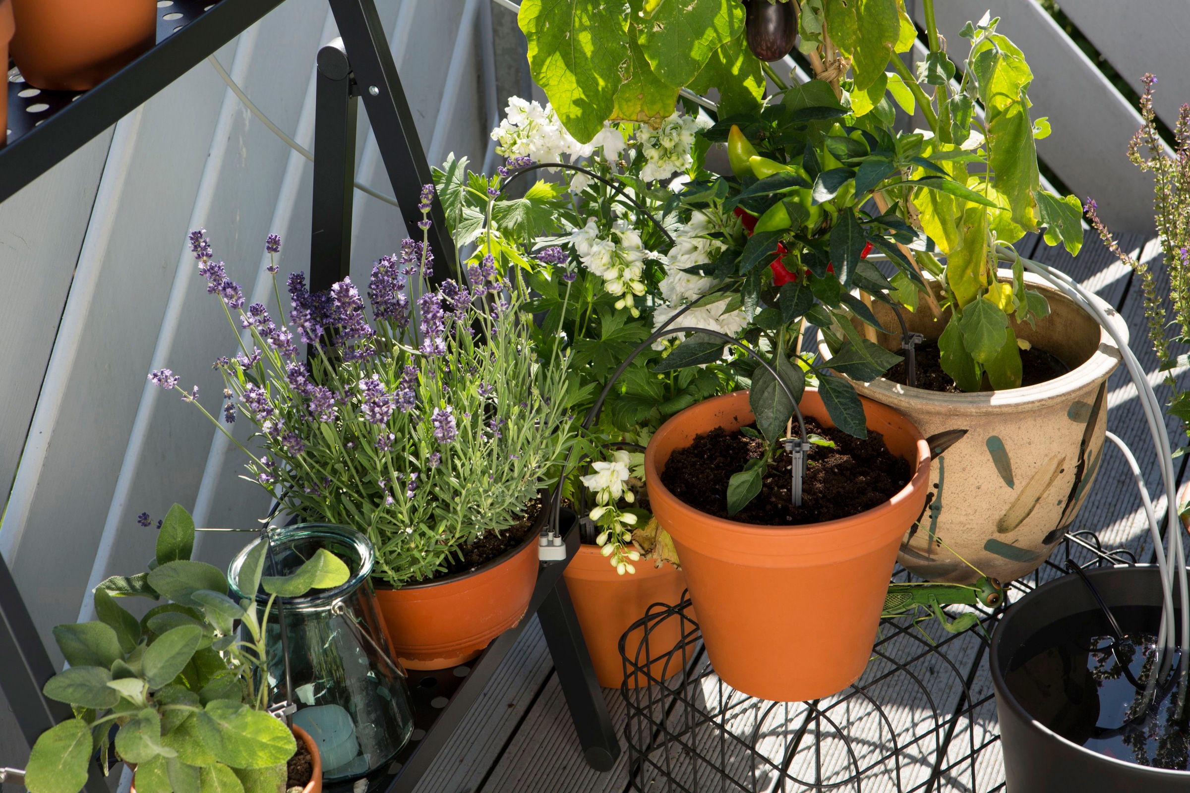 GARDENA Bewässerungssteuerung »city gardening ...