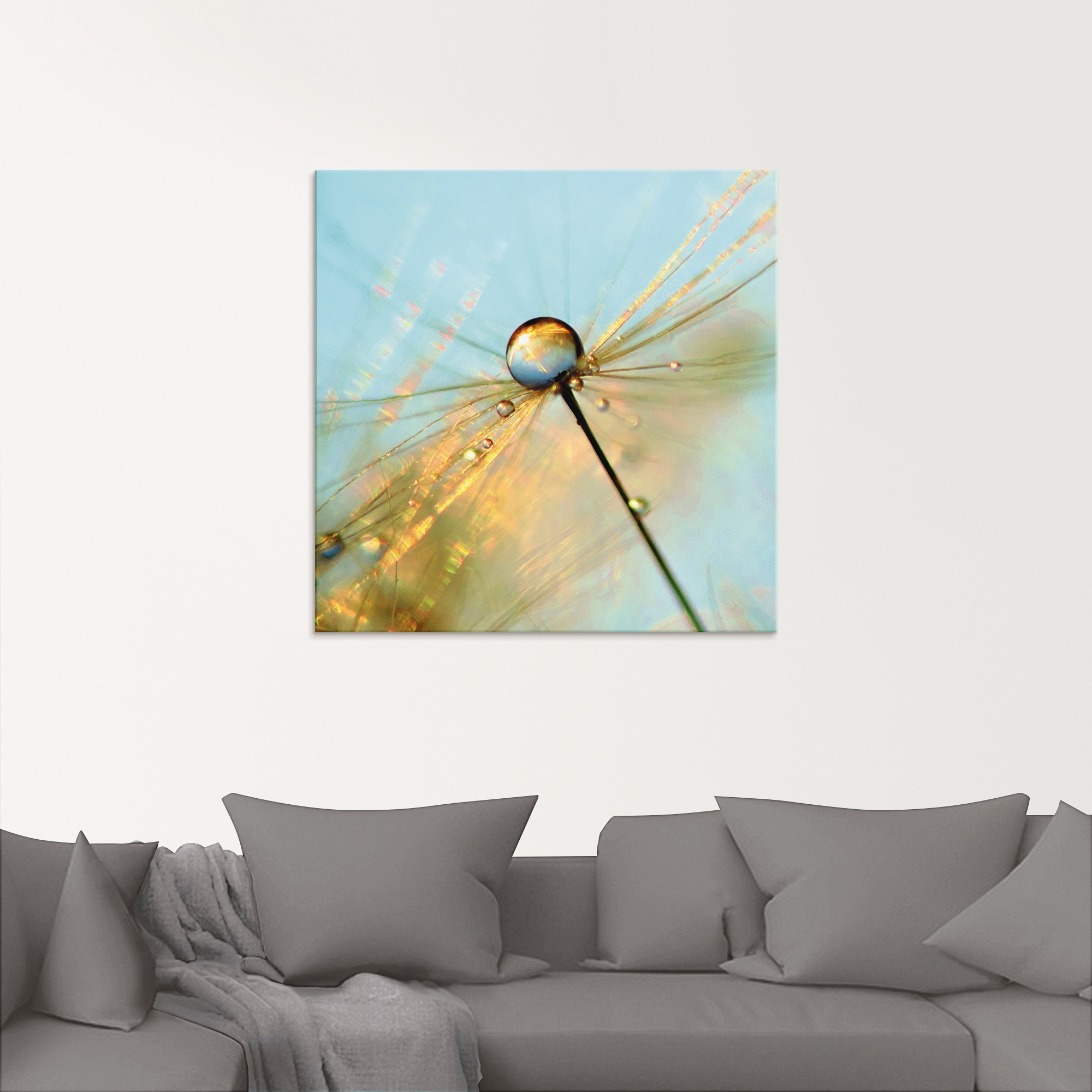Artland Glasbild "Pusteblume Tautropfen II" Blumen 1 Stk. tlg. in verschied günstig online kaufen