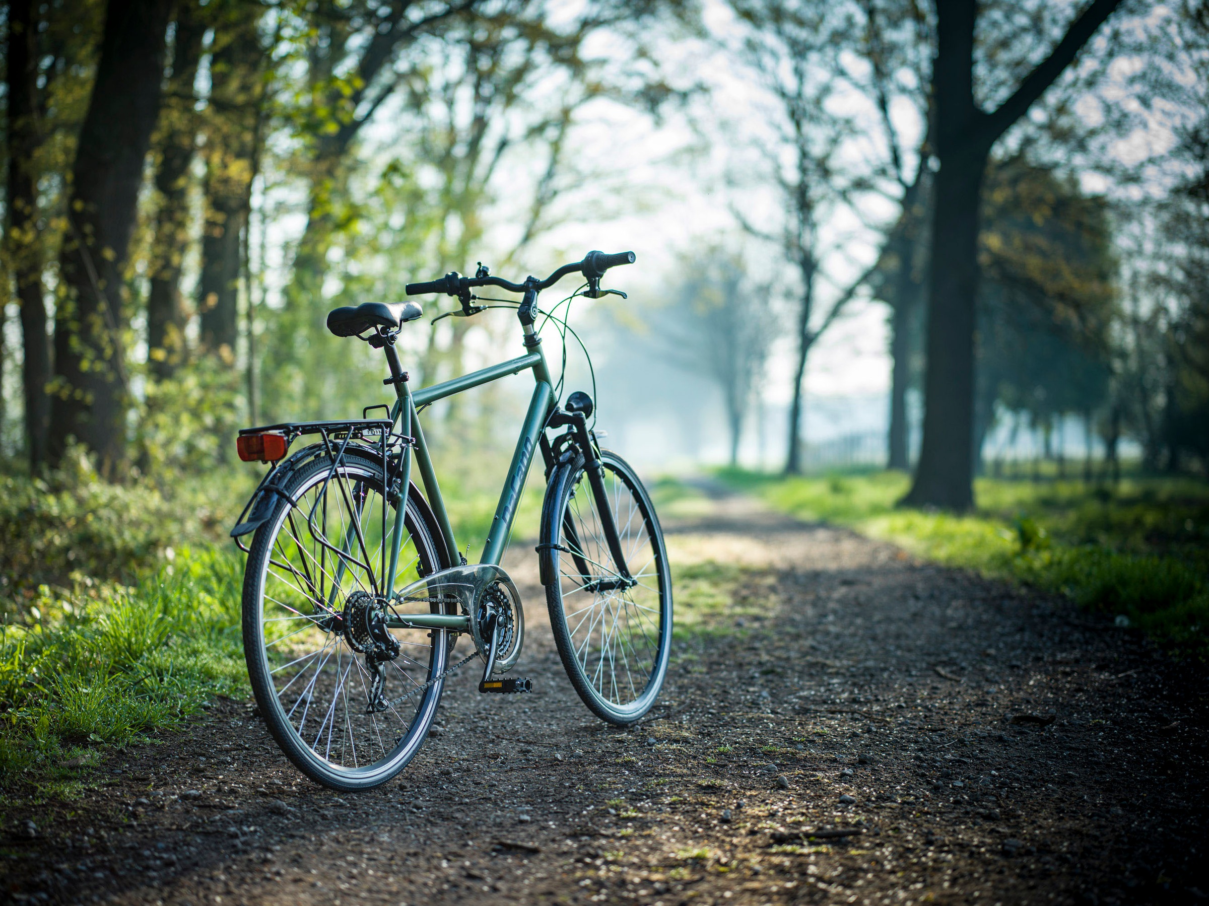 Dacapo Trekkingrad »Trekkingrad Herren 28'' Montreal Olivgrün 21 Gänge RH 58 cm«, 21 Gang, Kettenschaltung