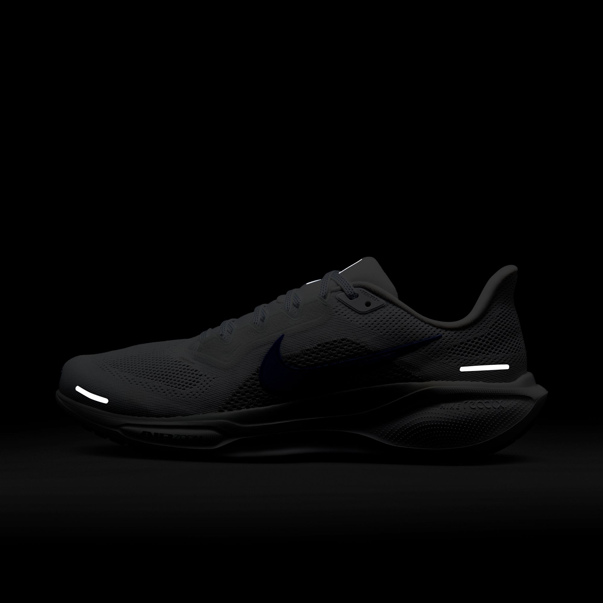 Nike Laufschuh »AIR ZOOM PEGASUS 41«