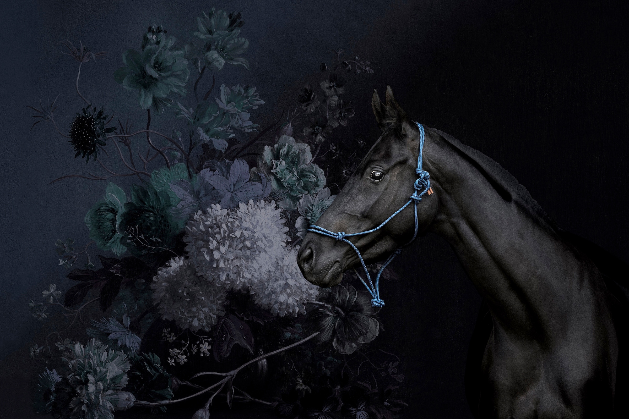 A.S. Création Leinwandbild »horses«, Kunst-Tiere-Kinder, (1 St.), Keilrahmen Bild Blumen Floral Pferd Leinwand-Bild Wohnzimmer modern