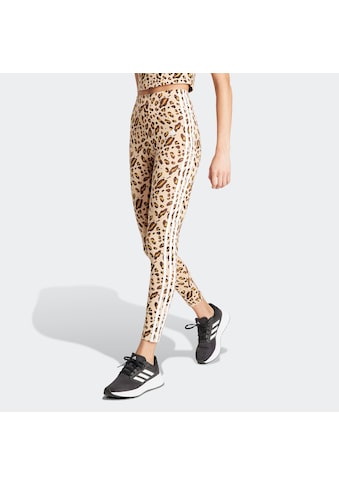 adidas Sportswear Leggings »ANML 3S LEG« (1 tlg.)