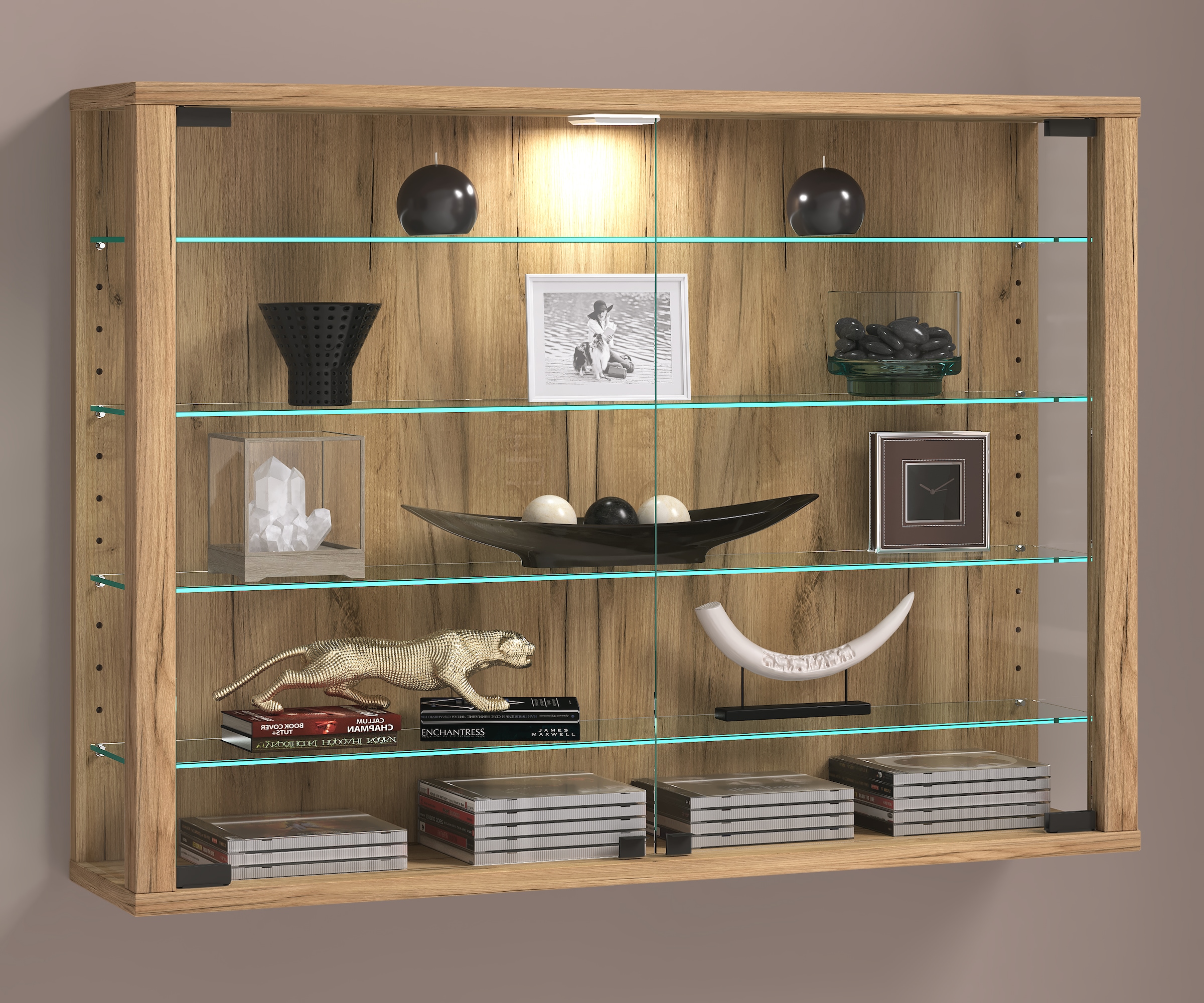 VCM Wandregal »Wandvitrine Hängevitrine Glasvitrine Vitrosa L«