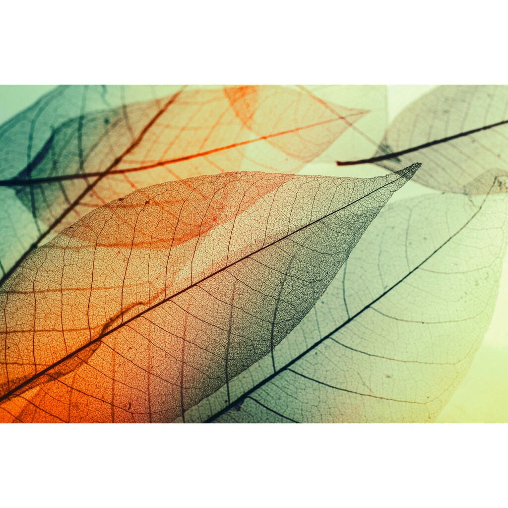 A.S. Création Leinwandbild »Limpid Leaf«, Natur, (1 St.)