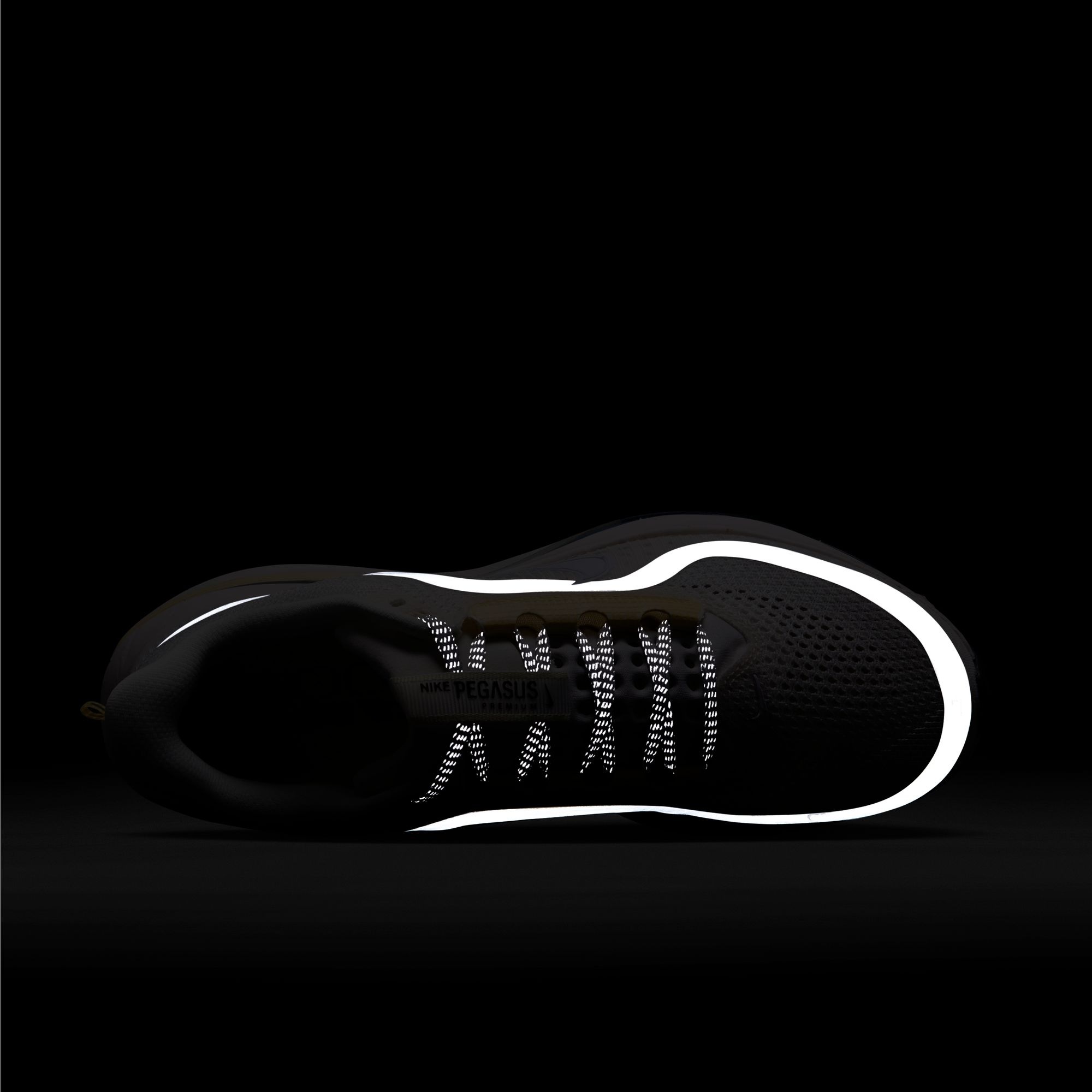 Nike Laufschuh »W NIKE PEGASUS PREMIUM«