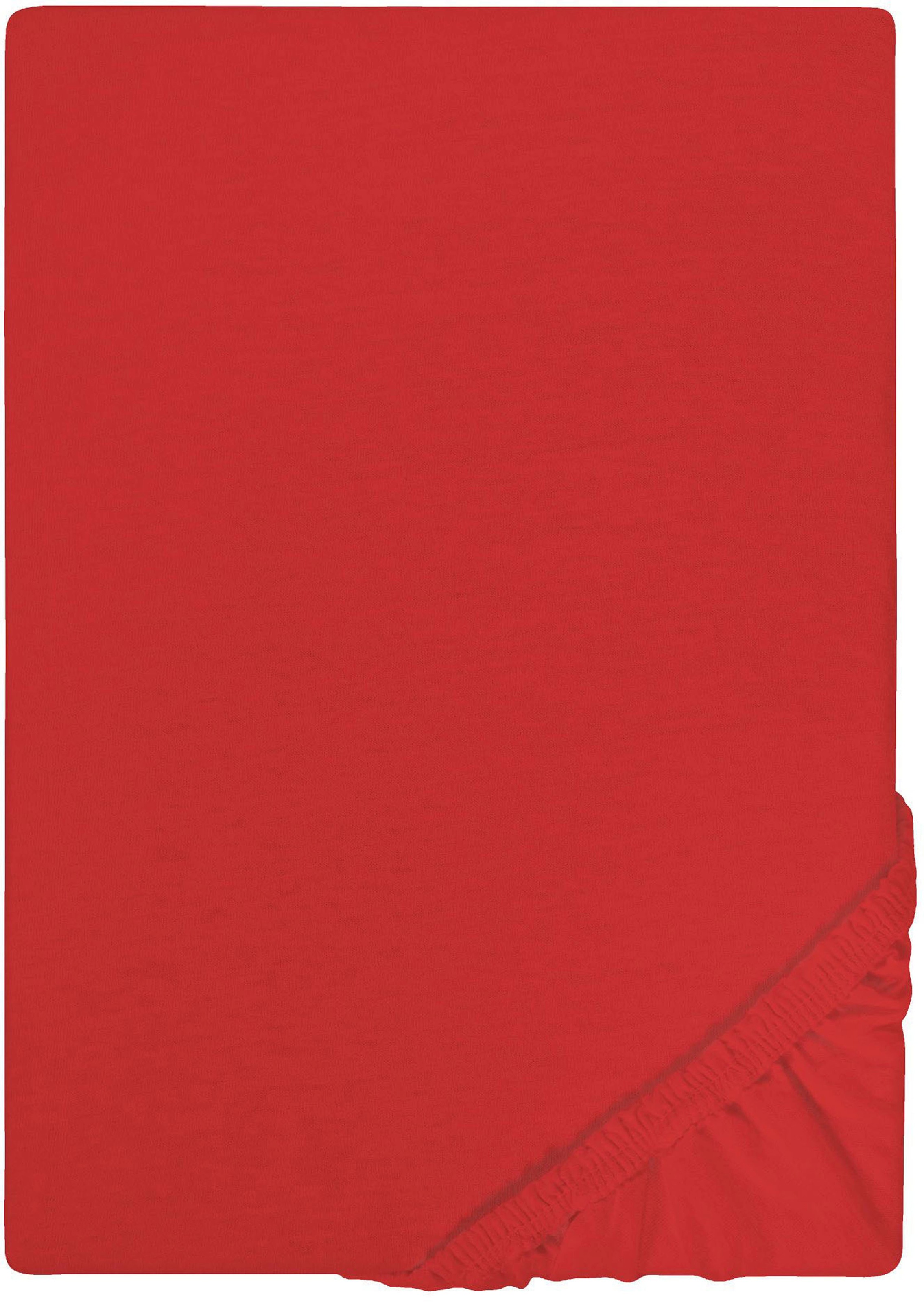 Castell - Markenbettwäsche Spannbettlaken "Jersey in Gr. 90x200, 140x200 oder 180x200 cm" aus Baumwolle, für Matratzen bis 22 cm Höhe, Bettlaken, Spannbetttuch
