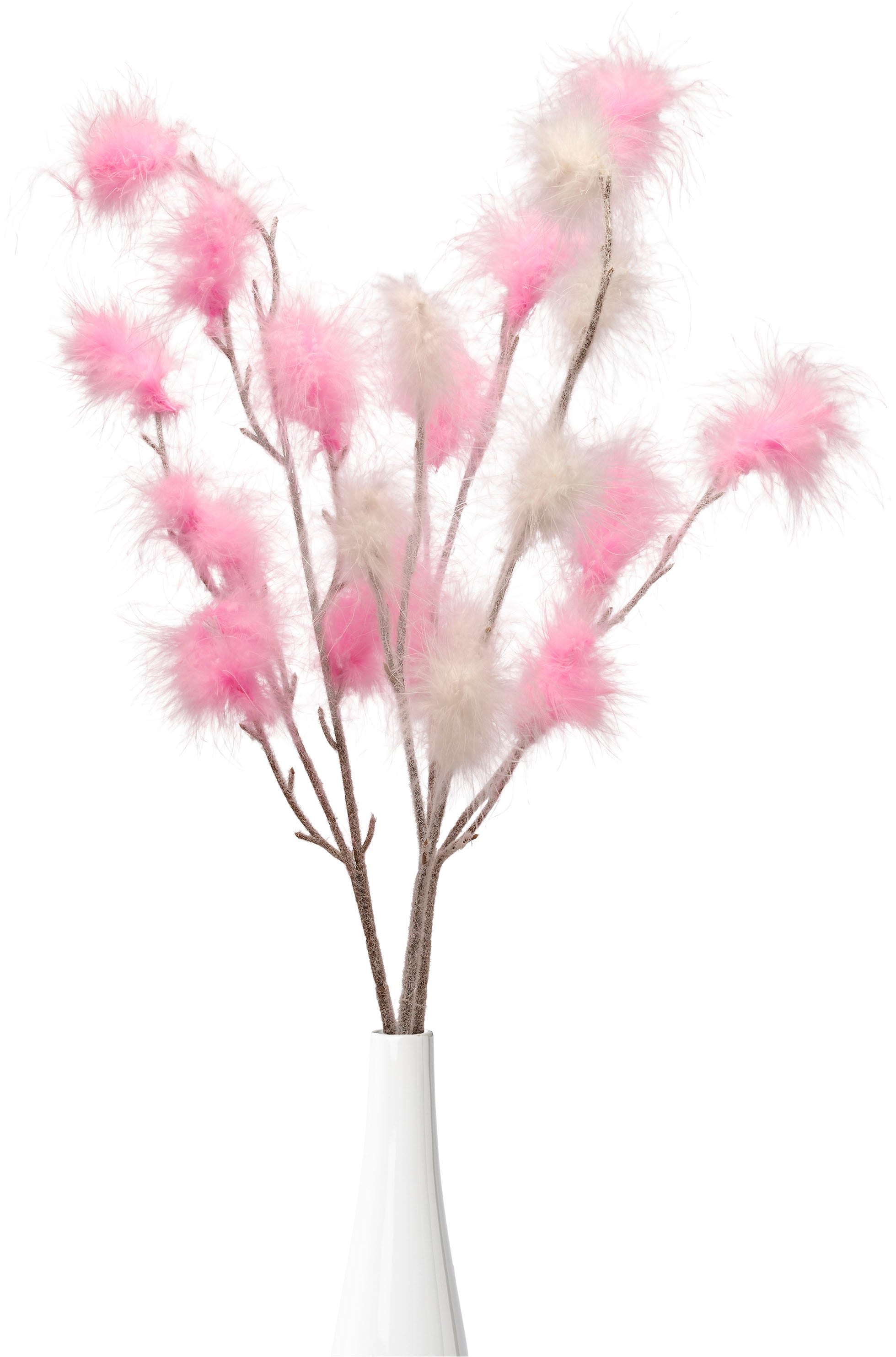 Creativ home Tischvase »Vase mit Federzweigen«, (4 St.), für die moderne Einrichtung