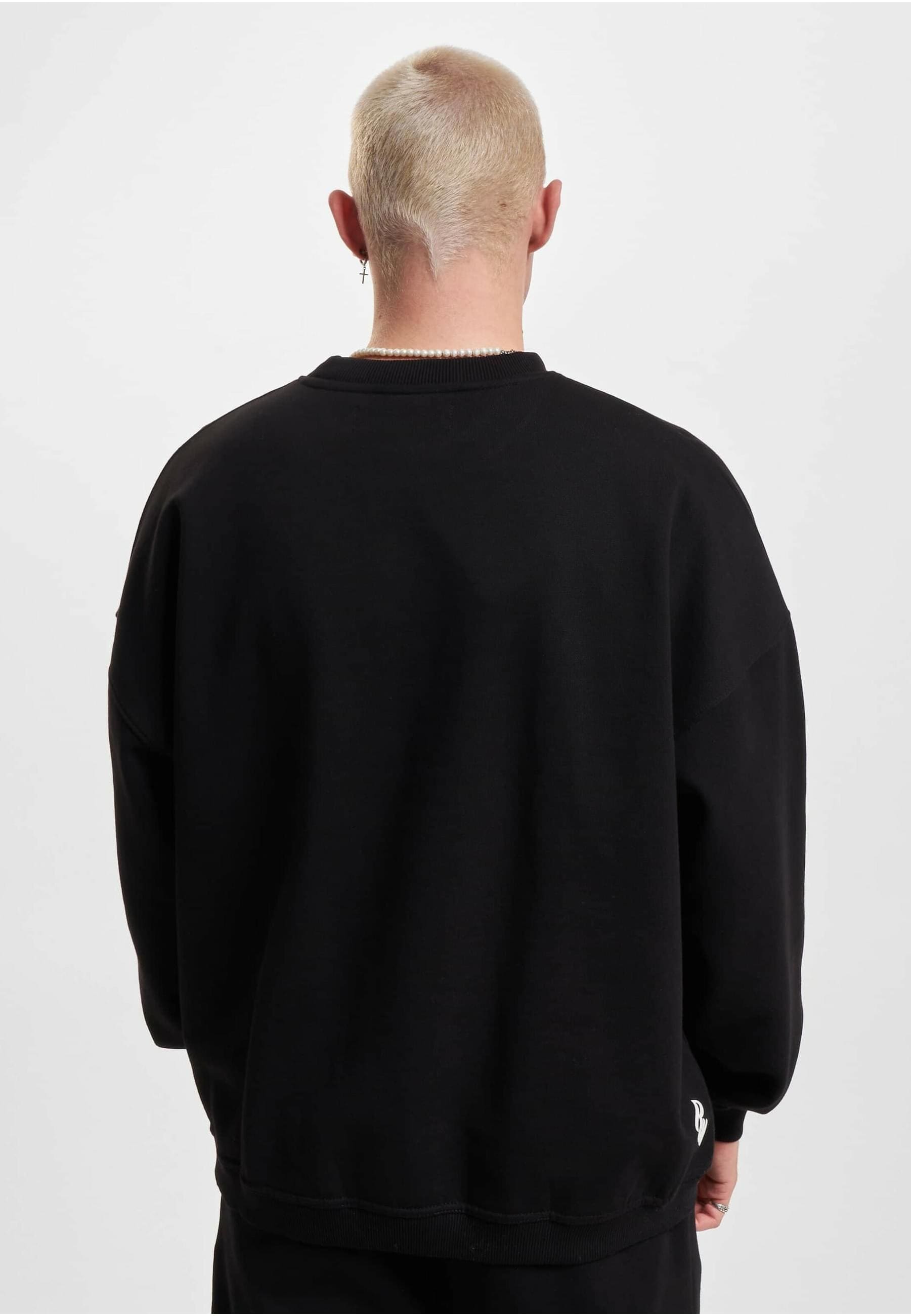 Rocawear Rundhalspullover »Rocawear Herren Rocawear School Pullover«, (1 tlg.)