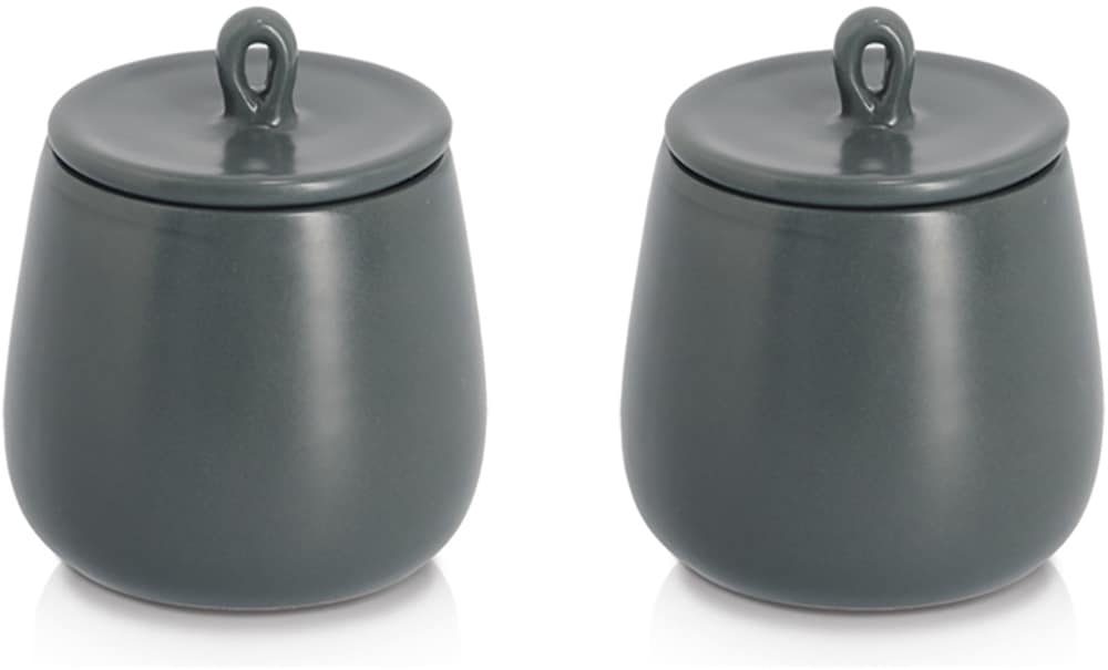 ZELLER PRESENT Gewürzbehälter "Gewürzdose, 2-tlg.", H:10cmanthrazit, Lebensmittelaufbewahrungsbehälter, schützt vor Feuchtigkeit, 220 ml