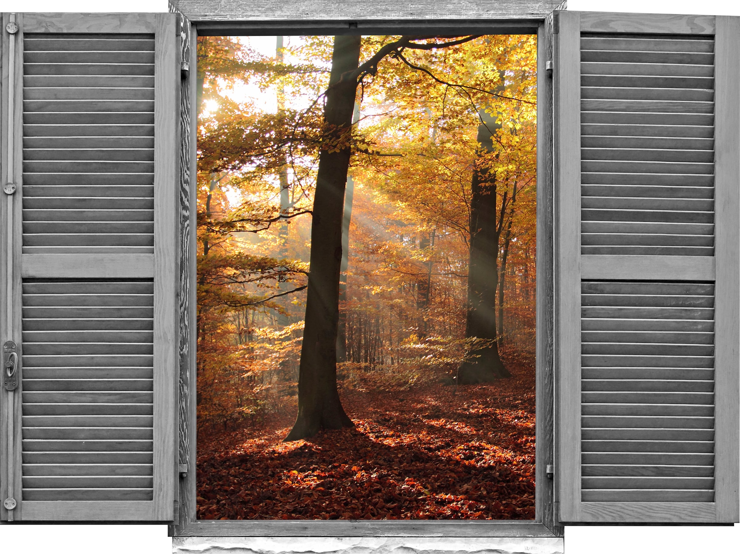 queence Wandtattoo »Wald im Herbst« (1 St.)