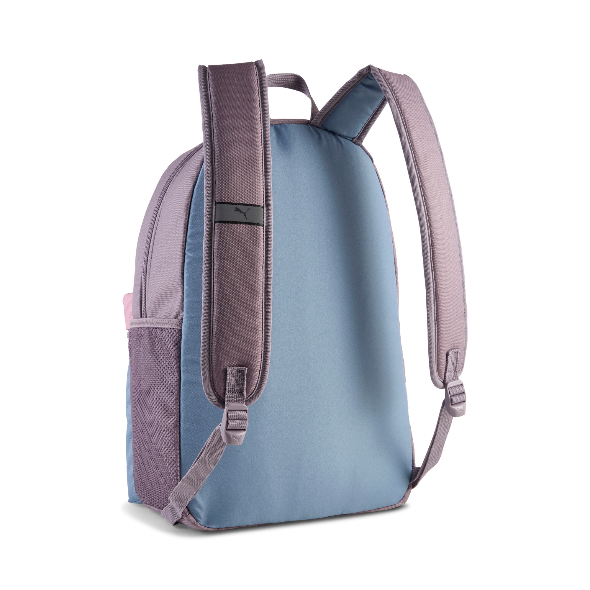 PUMA Rucksack »PHASE COLOR BLOCK BACKPACK«