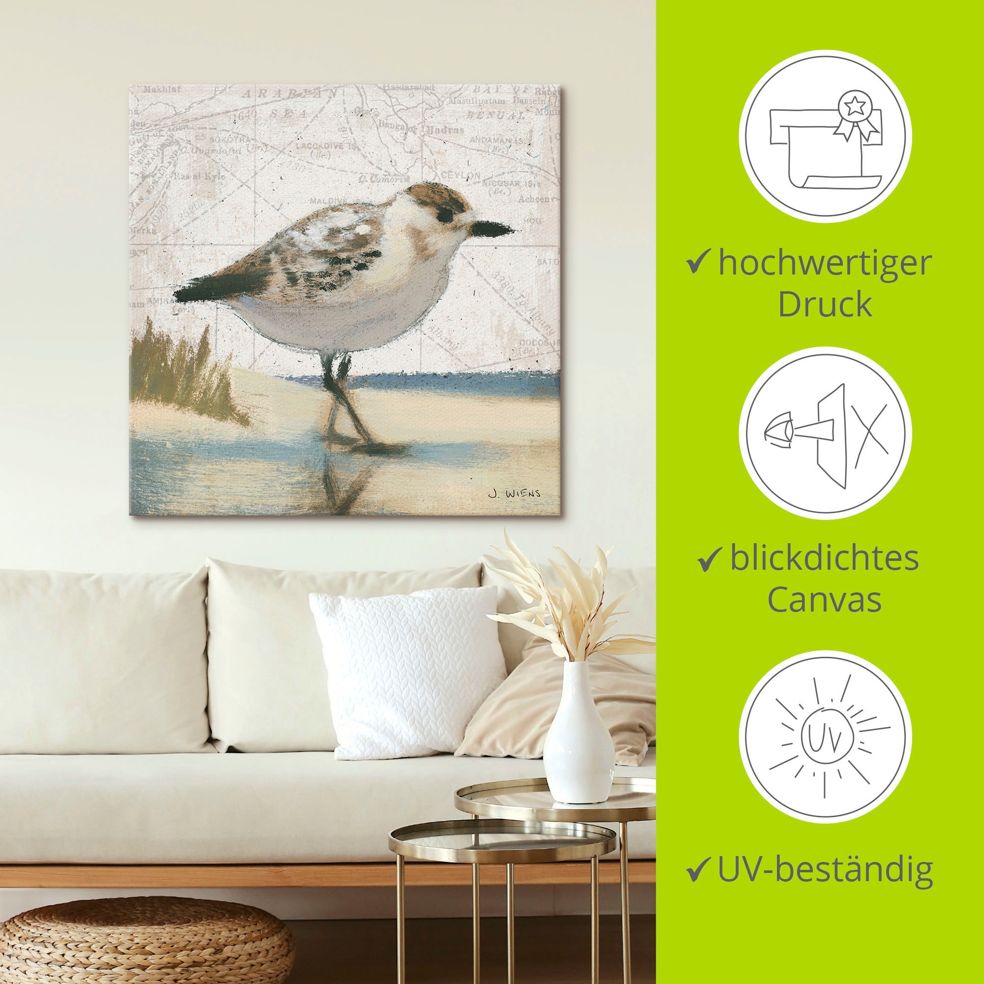 Artland Wandbild »Möwe I«, Vögel, (1 St.), als Leinwandbild, Wandaufkleber in verschied. Größen