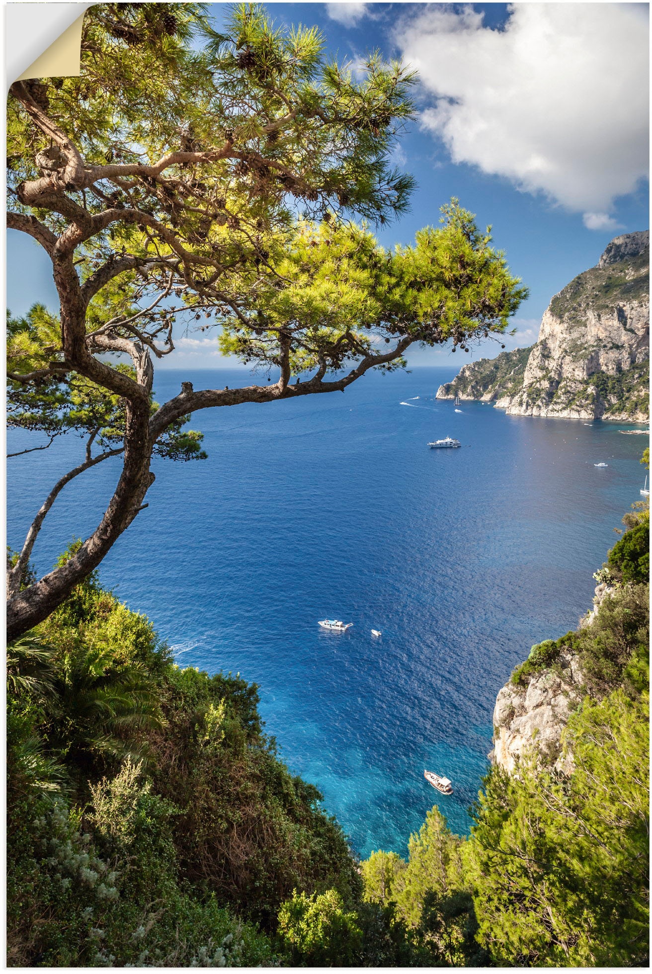 Artland Wandbild "Punta de Masullo, Insel Capri, Italien", Meer Bilder, (1 günstig online kaufen