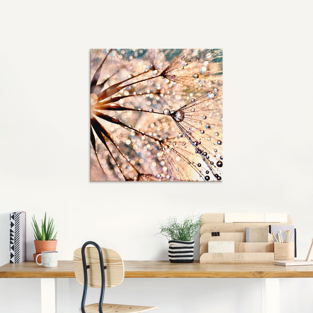 Artland Glasbild »Pusteblume - Kisses from rain«, Blumen, (1 St.)