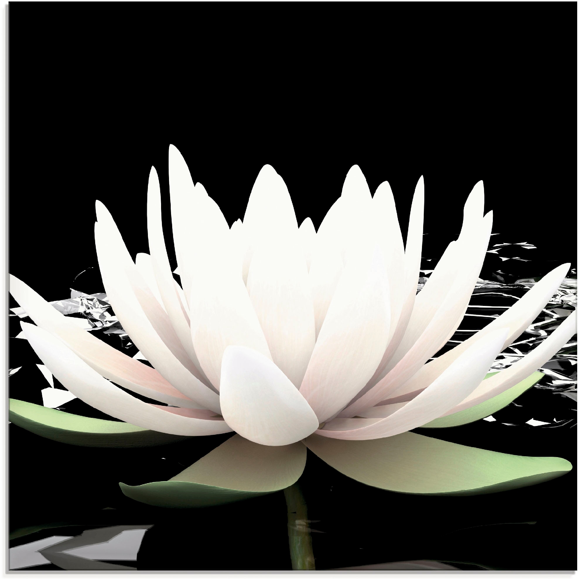 ARTLAND Zwei Lotusblumen auf dem Wasser Glass Picture Black 40x40cm