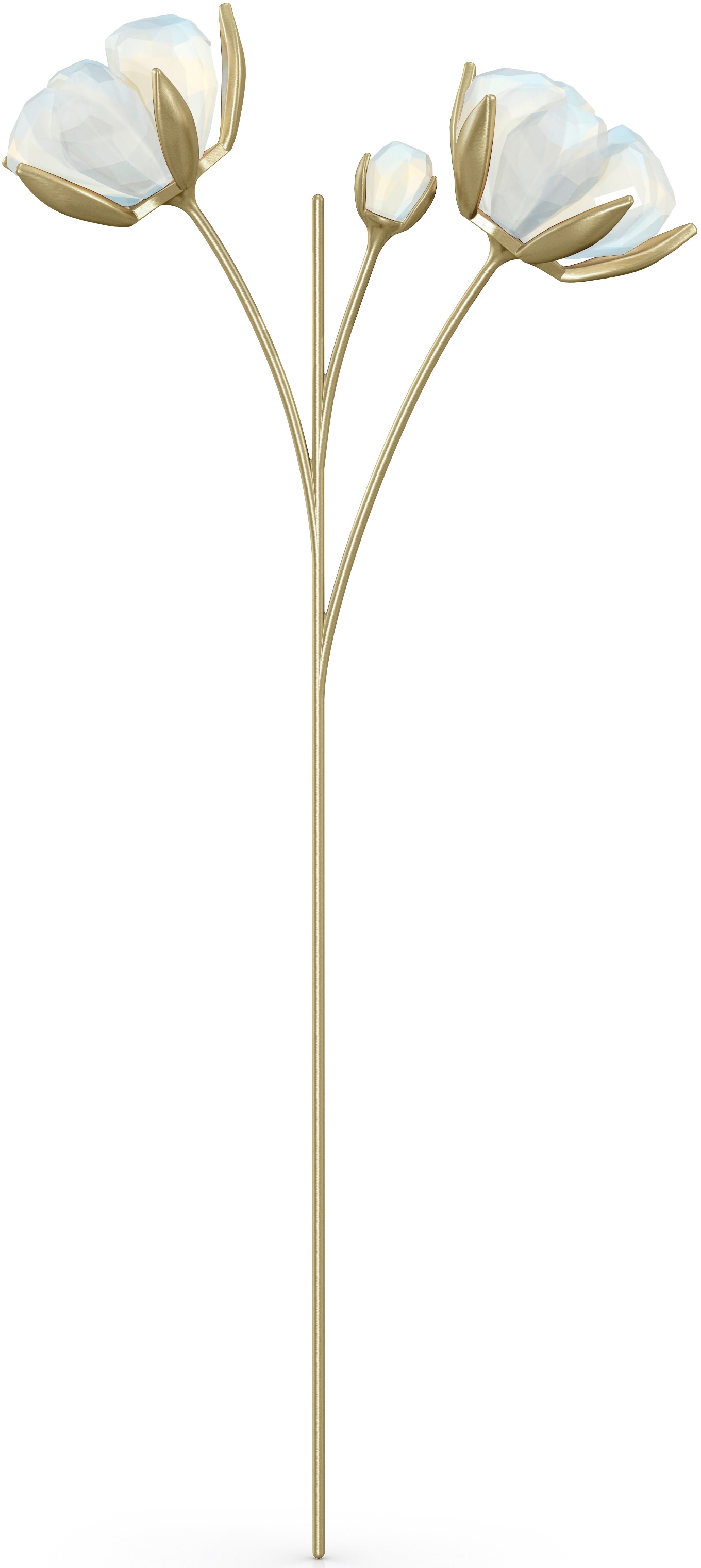 Swarovski® Dekoobjekt Tales 5586699«, »Kristallfigur Baumwolle, | Swarovski Garden Kristall BAUR Blume