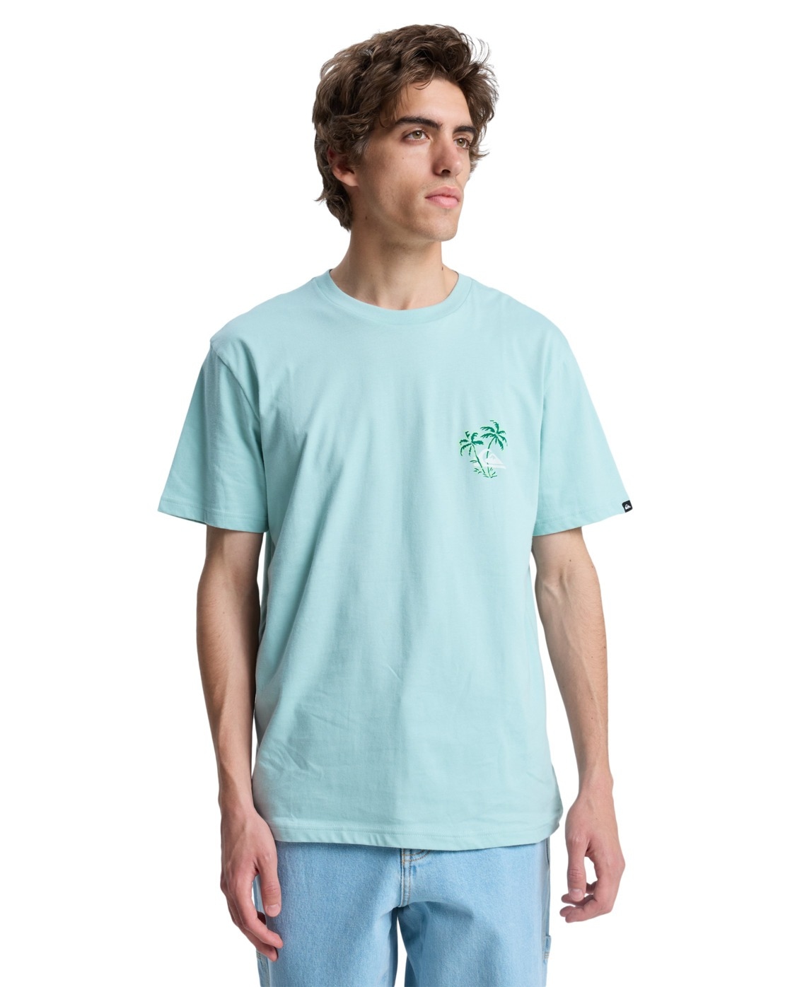 Quiksilver T-Shirt "Evo Learning From Nature" günstig online kaufen