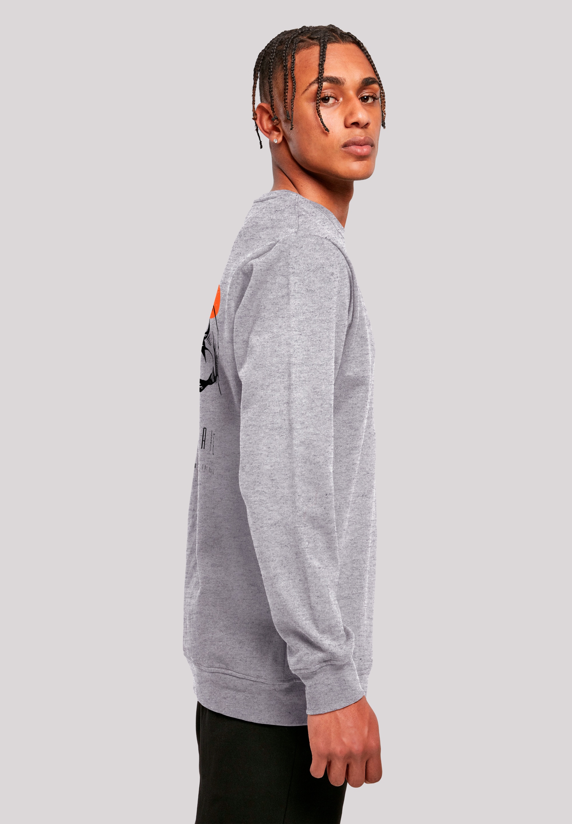 F4NT4STIC Sweatshirt »Escape Discover the World Mountain«, Premium Qualität, ESCAPE Collection