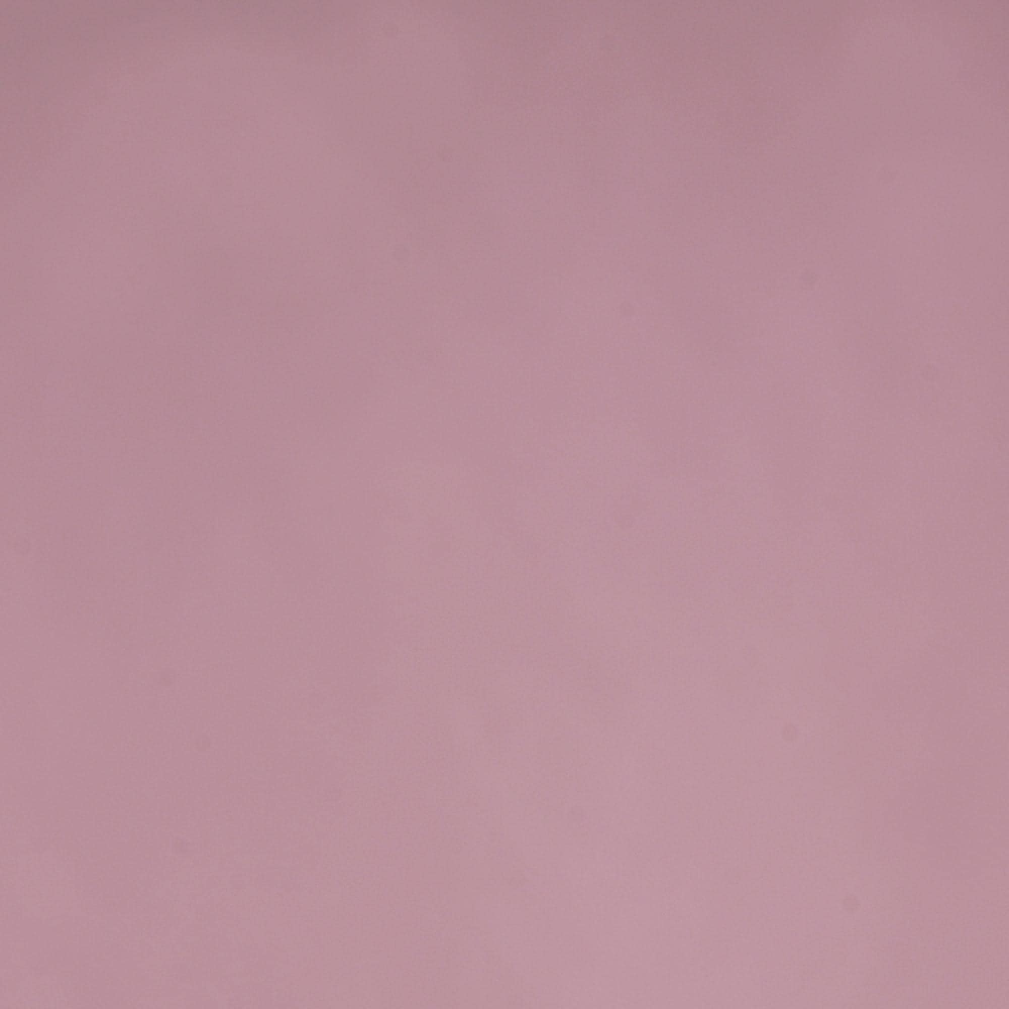 Liedeco Schiebegardine Klettband 1 Stk. tlg. HxB: 245x60