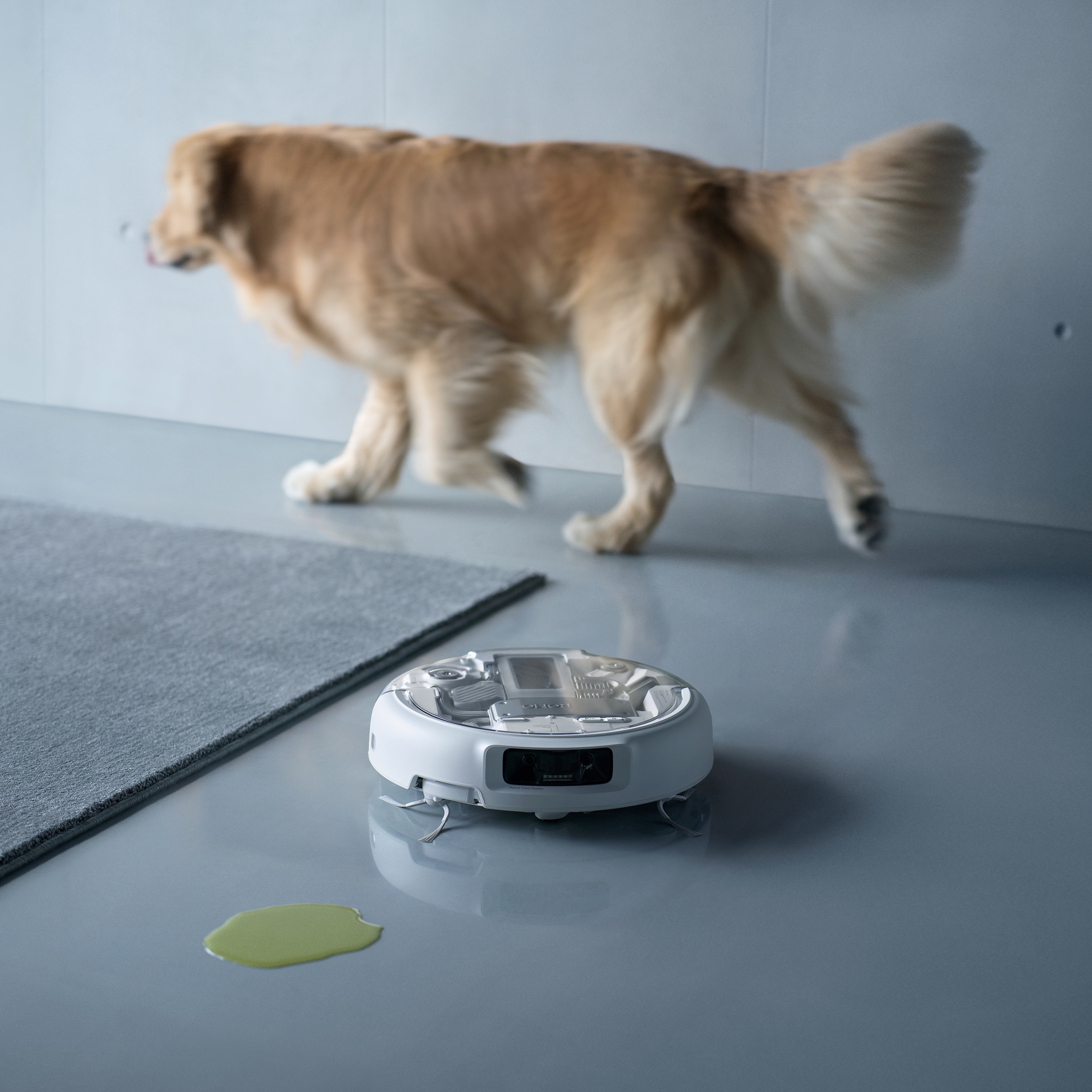 DJI Saugroboter »DJI ROMO P« Transparenter Saugroboter mit Absaugstation und App-Steuerung