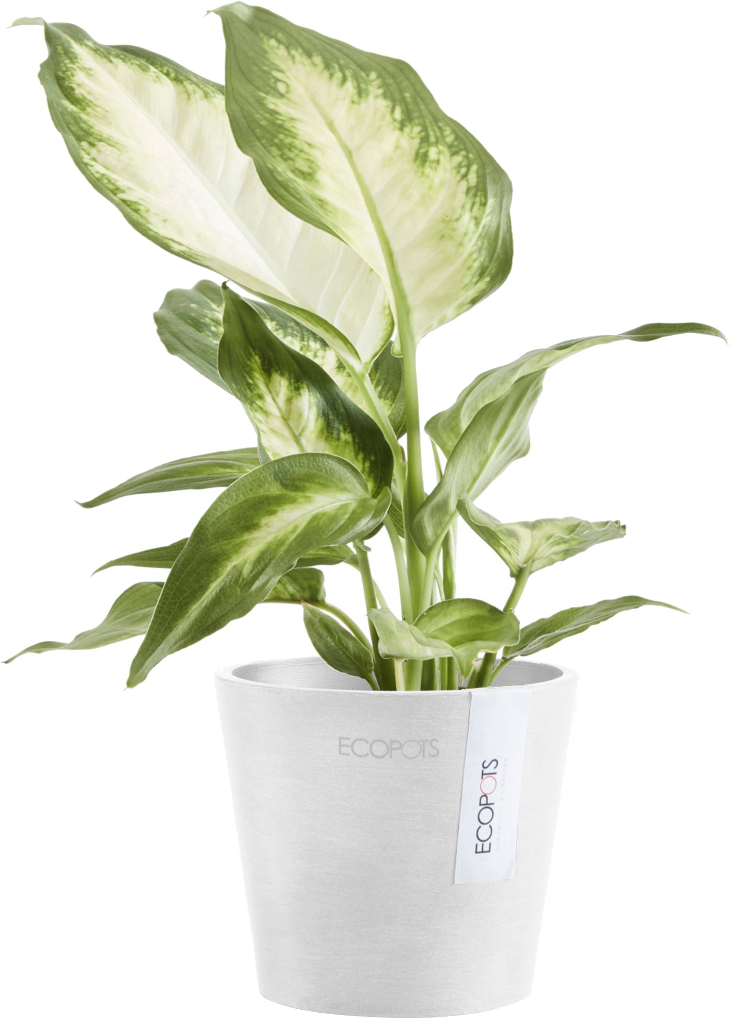 ECOPOTS Blumentopf »Amsterdam Mini 10,5 Weiß«, für den Innenbereich