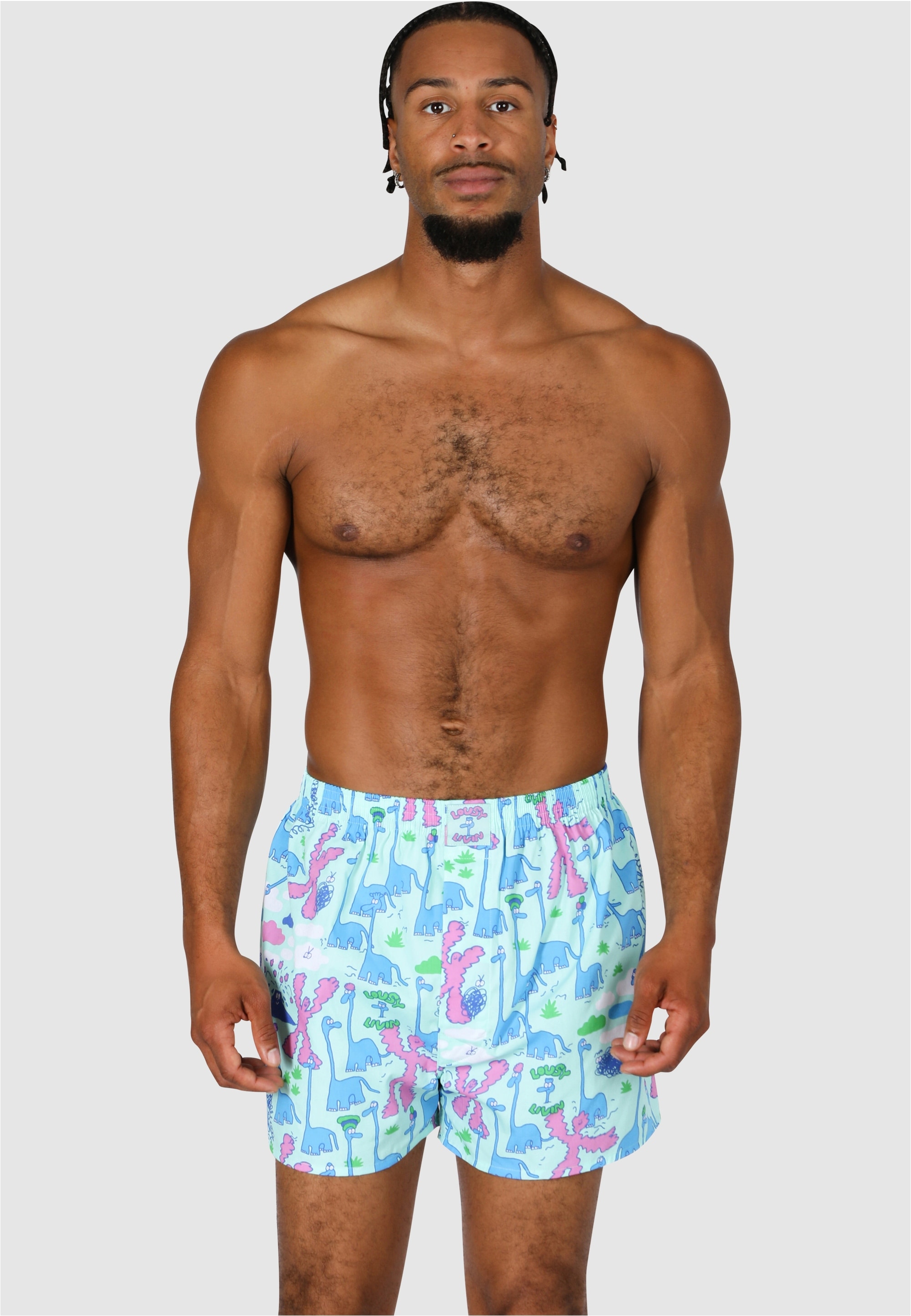 Lousy Livin Boxershorts »Dino & Greater Flamingo« 2 Stk. mit lässigen Allover-Prints