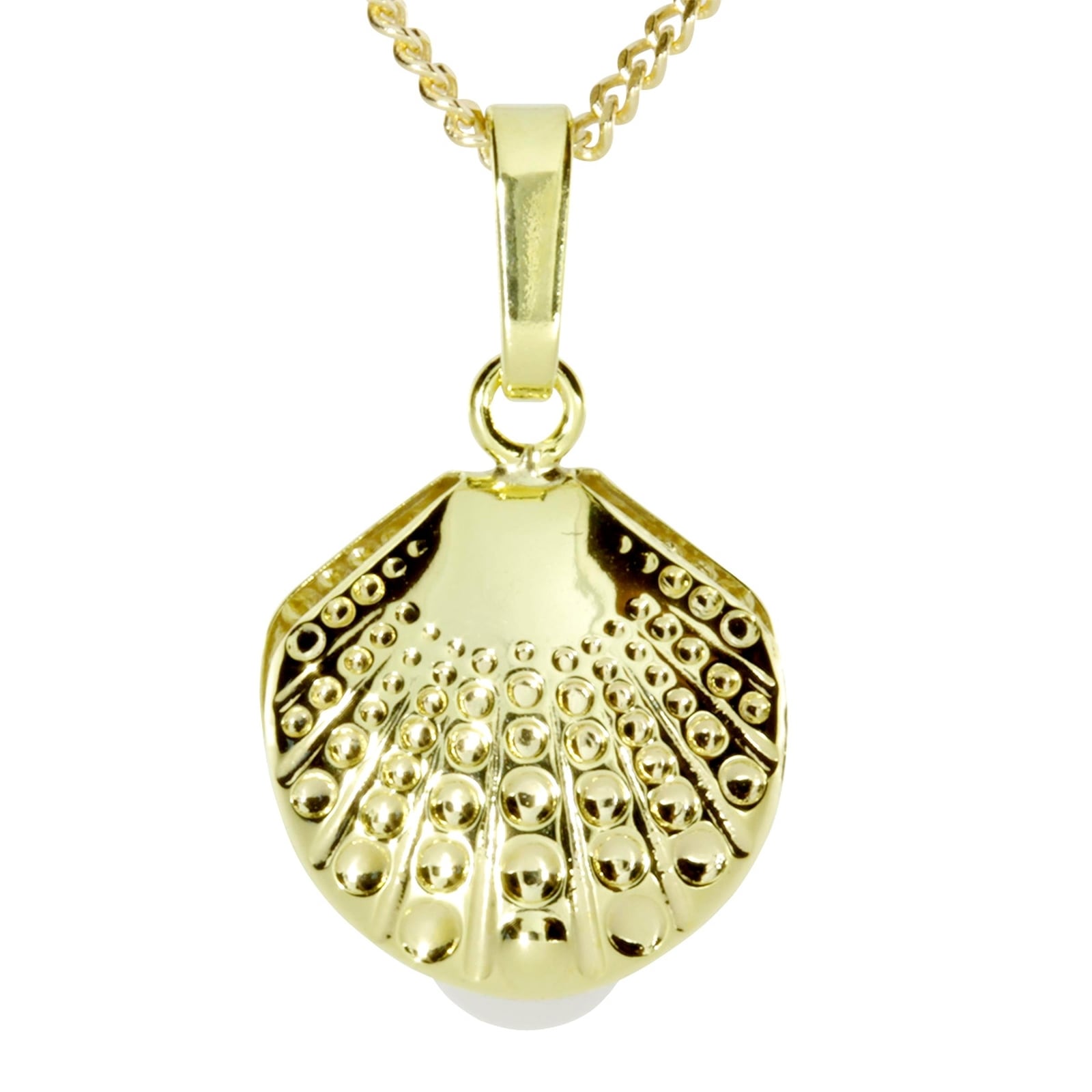 OSTSEE-SCHMUCK Kette und Anhänger Set »- Muschel - Gold 333/000 -,«