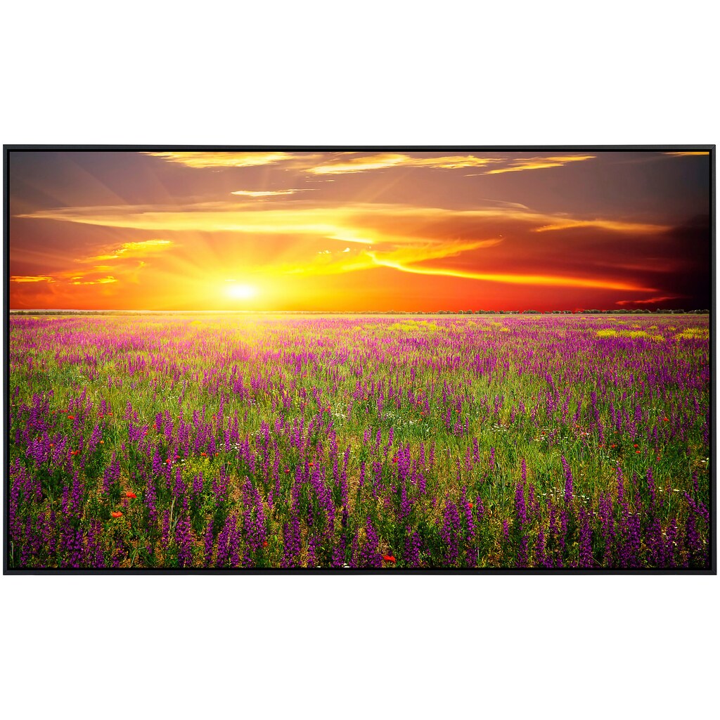 Papermoon Infrarotheizung »Blumenwiese Sonnenuntergang«