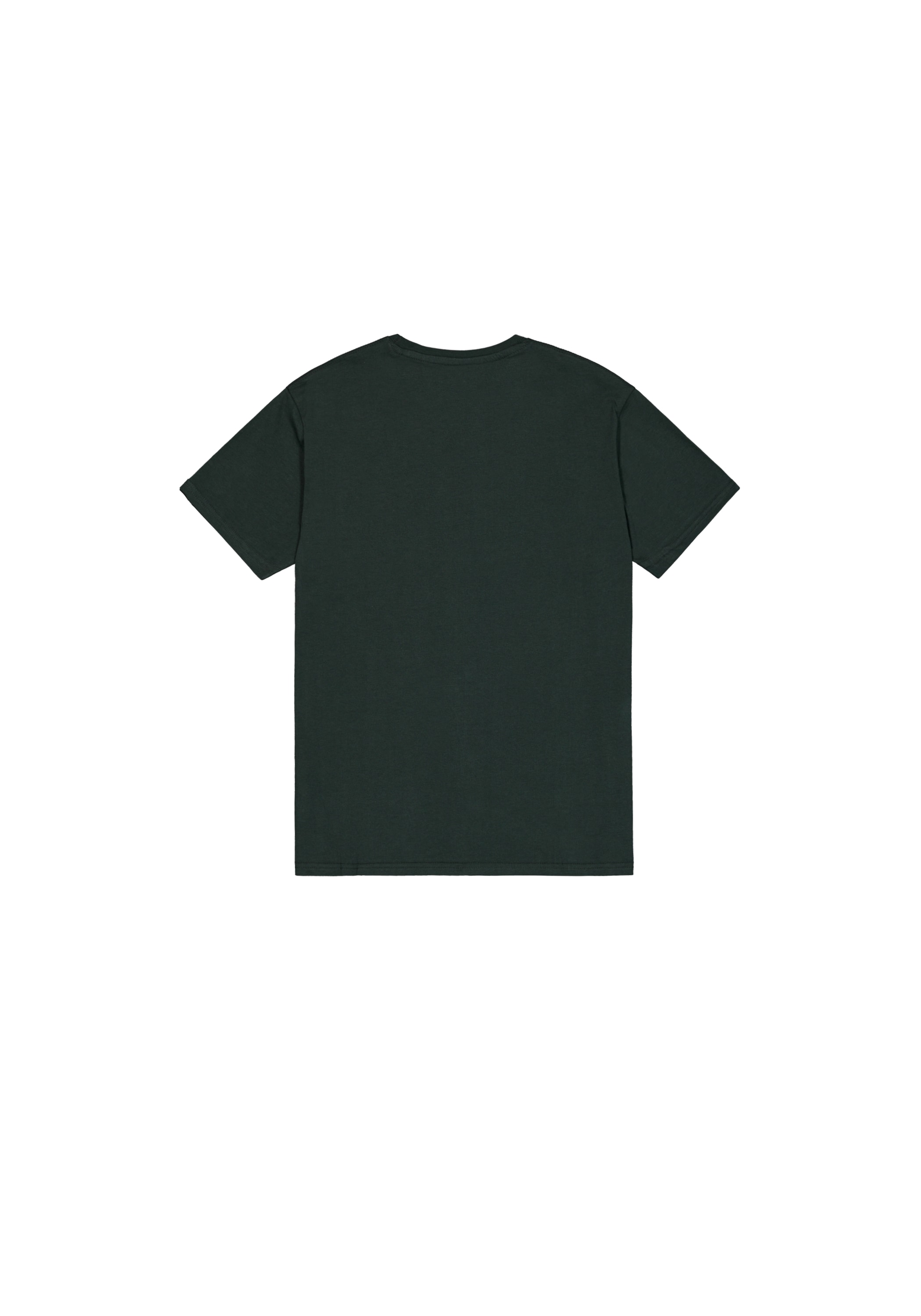 Alpha Industries T-Shirt »Basic T-Shirt SL«