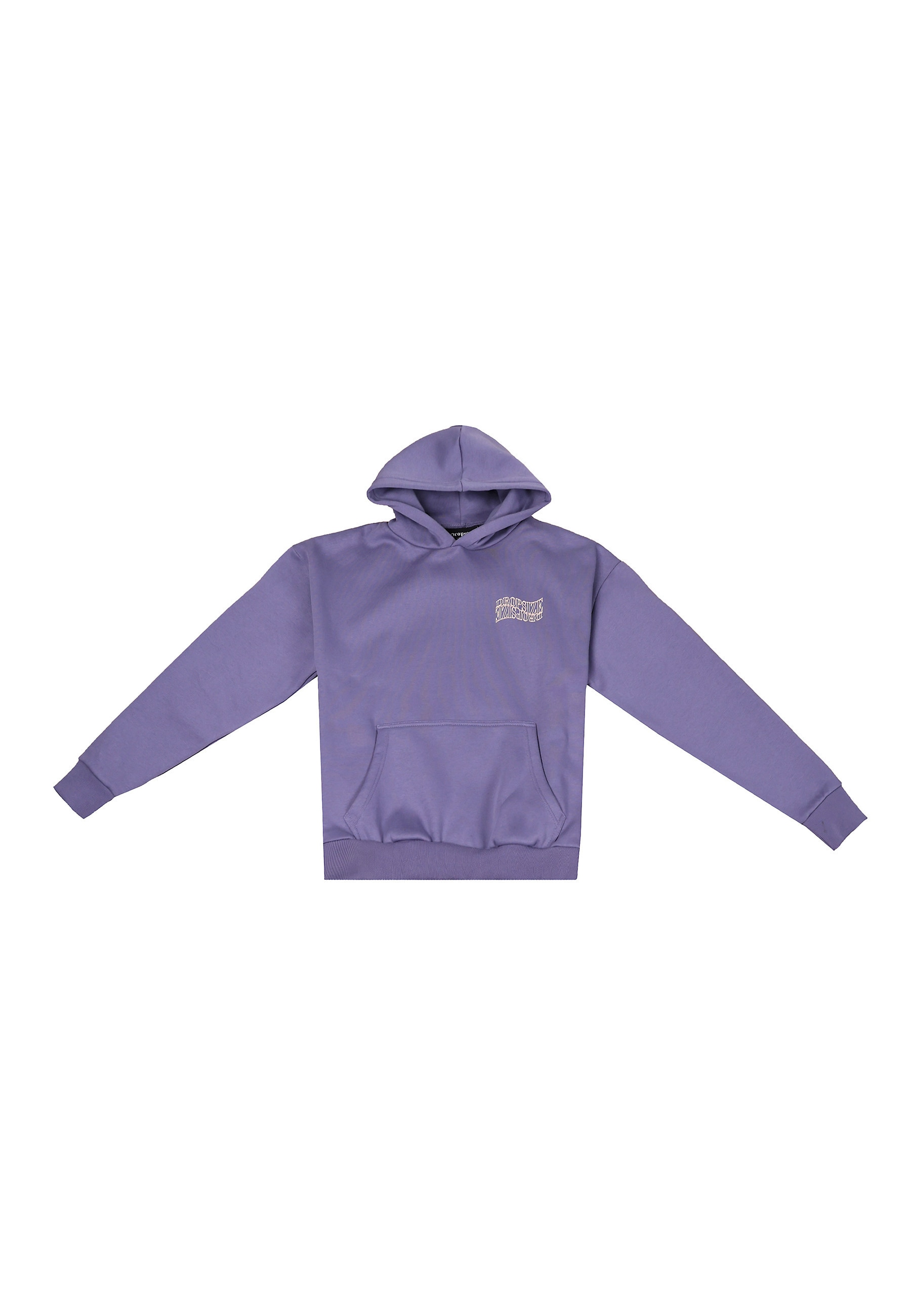 Dropsize Kapuzensweatshirt "Dropsize HEAVY OVERSIZE MIRRORED LOGO HOODIE", 1 Stk.