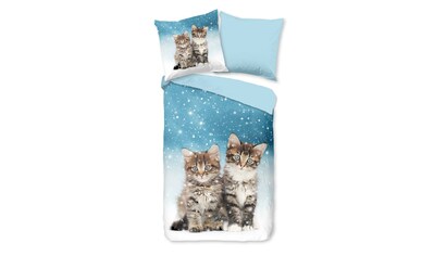 TRAUMSCHLAF Bettwäsche »Katzen«, (2 tlg.), weich und warm kaufen