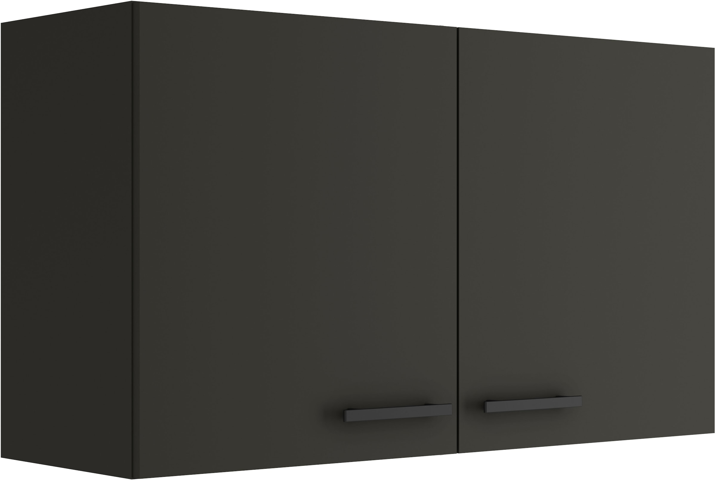 OPTIFIT Hängeschrank "Palma", Breite 100 cm, 2 Türen, 1 Einlegeboden