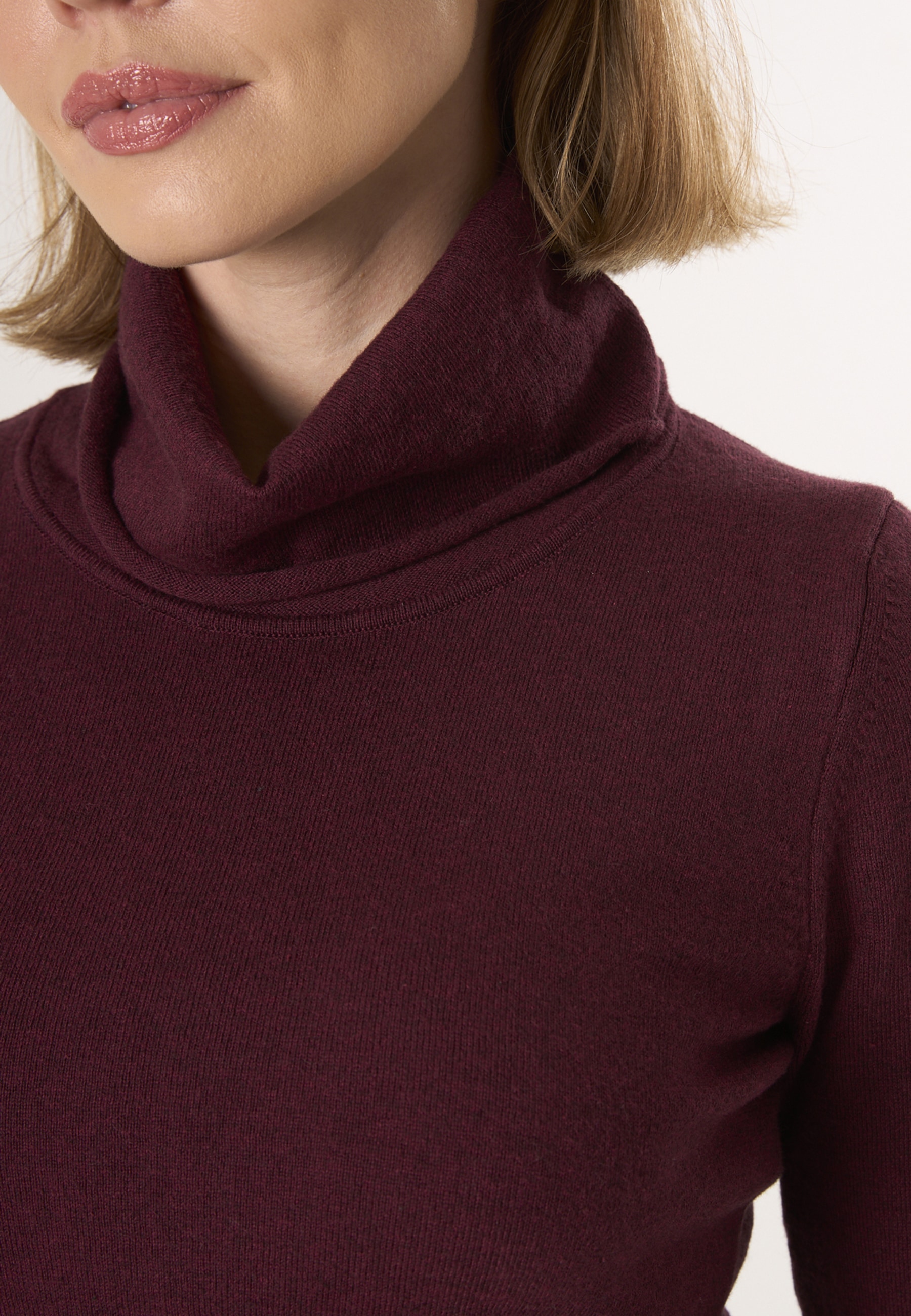 Felix Hardy Rollkragenpullover »Rollkragenpullover«