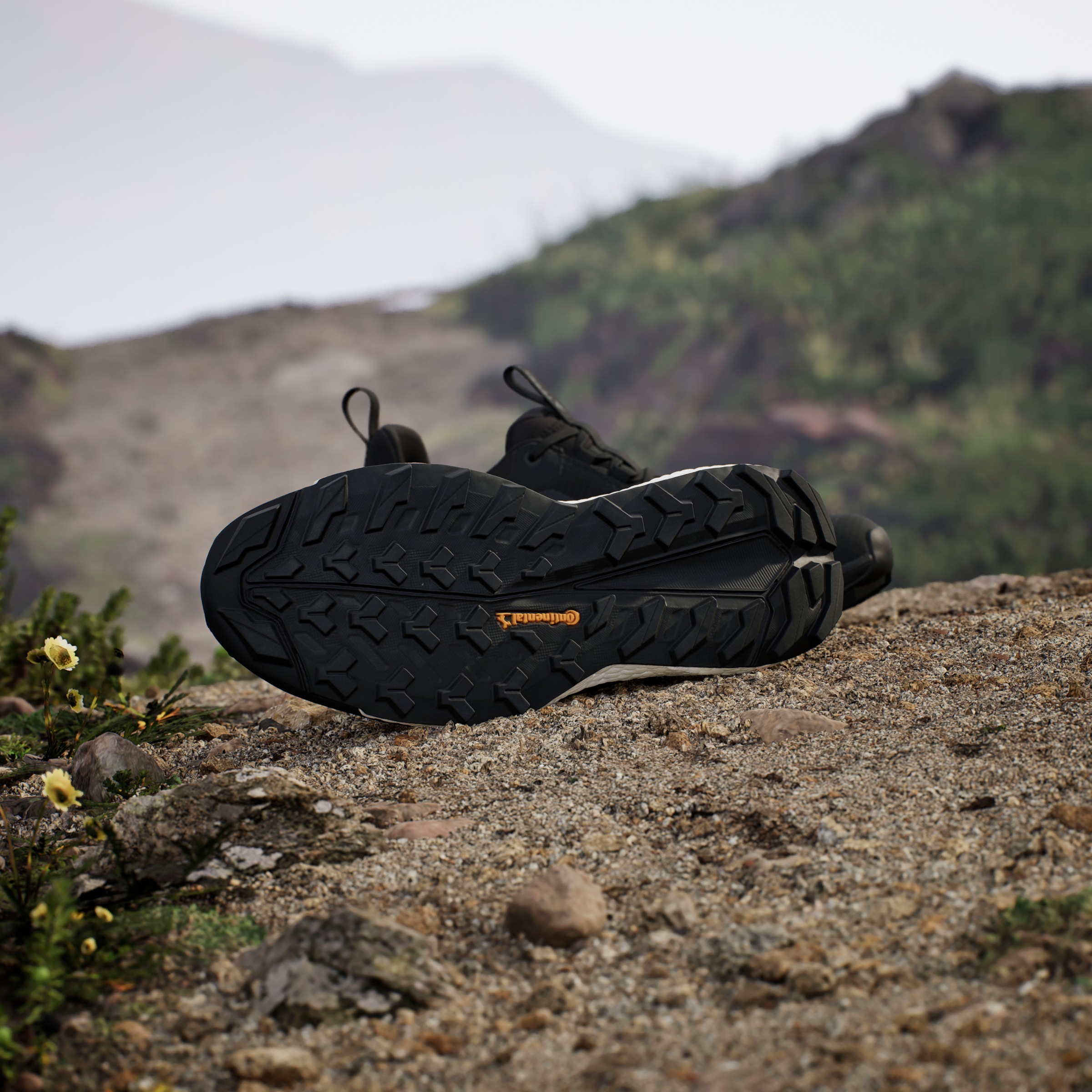 adidas TERREX Wanderschuh »TERREX FREE HIKER 2.0 LOW GORE-TEX«, wasserdicht