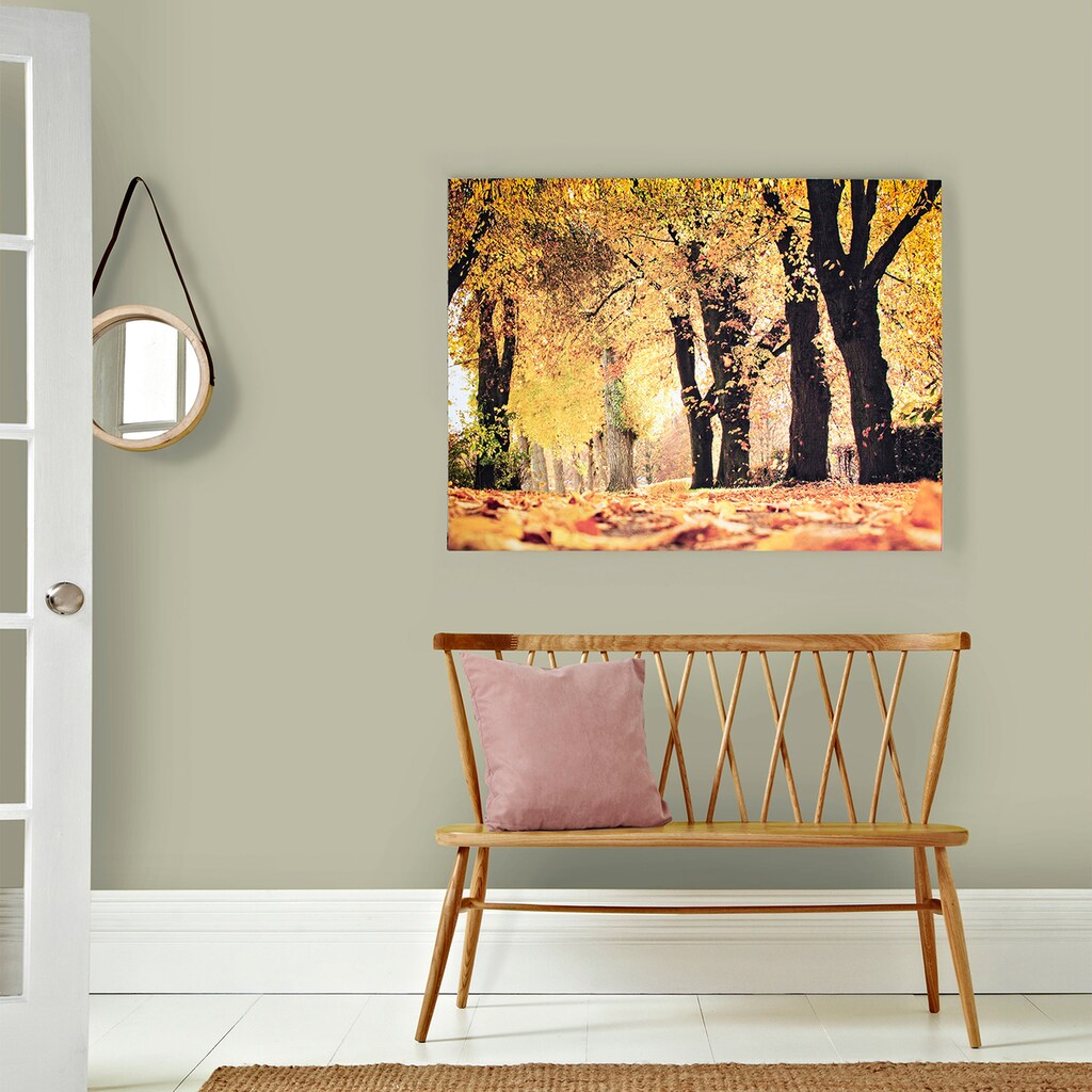 Art for the home Leinwandbild »Art for the Home Leinwandbild Herbst - 100x75cm«, Bäume, (Packung, 1 St.)