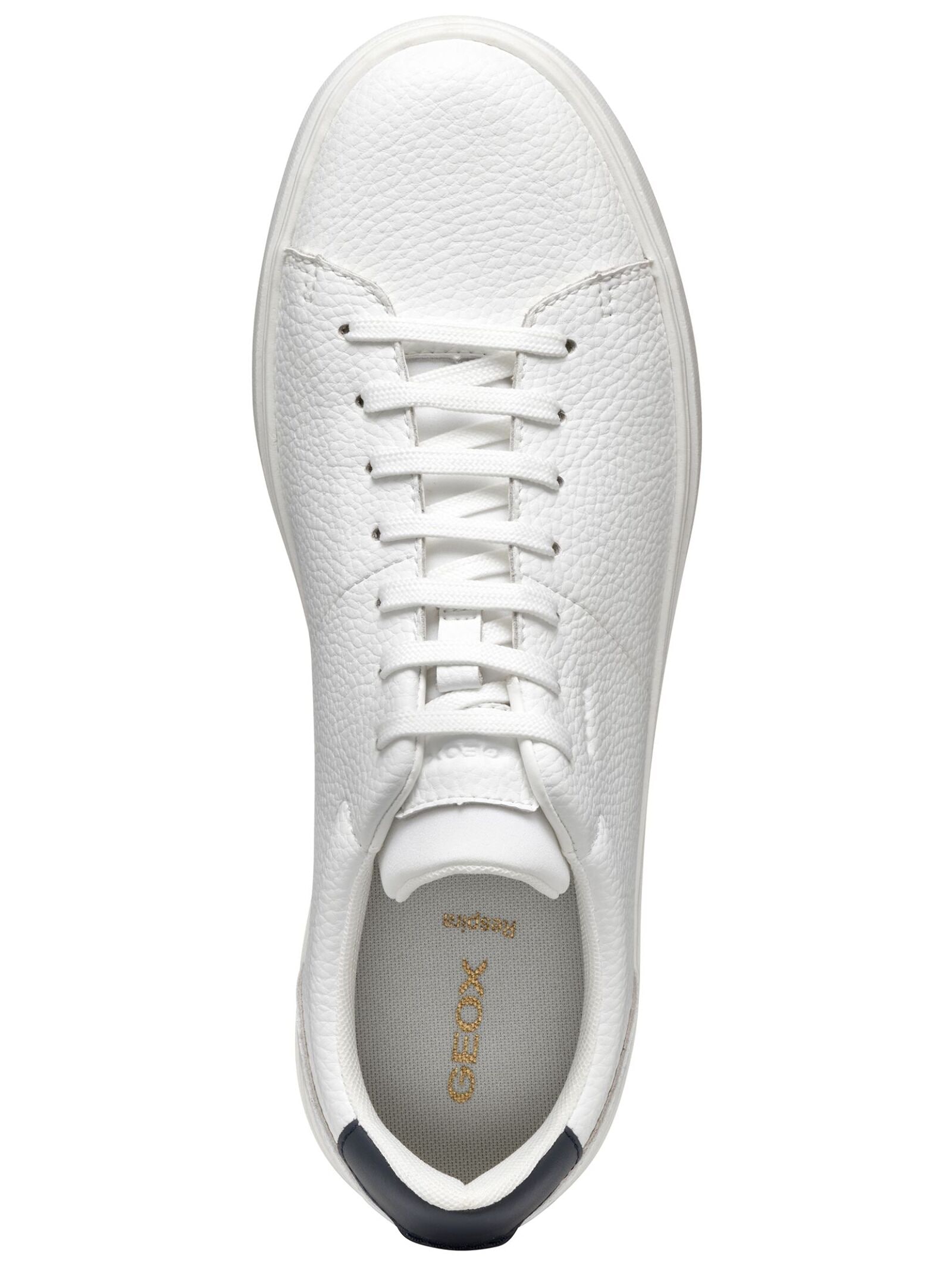 Geox Sneaker »Geox Sneaker Leder/Textil«
