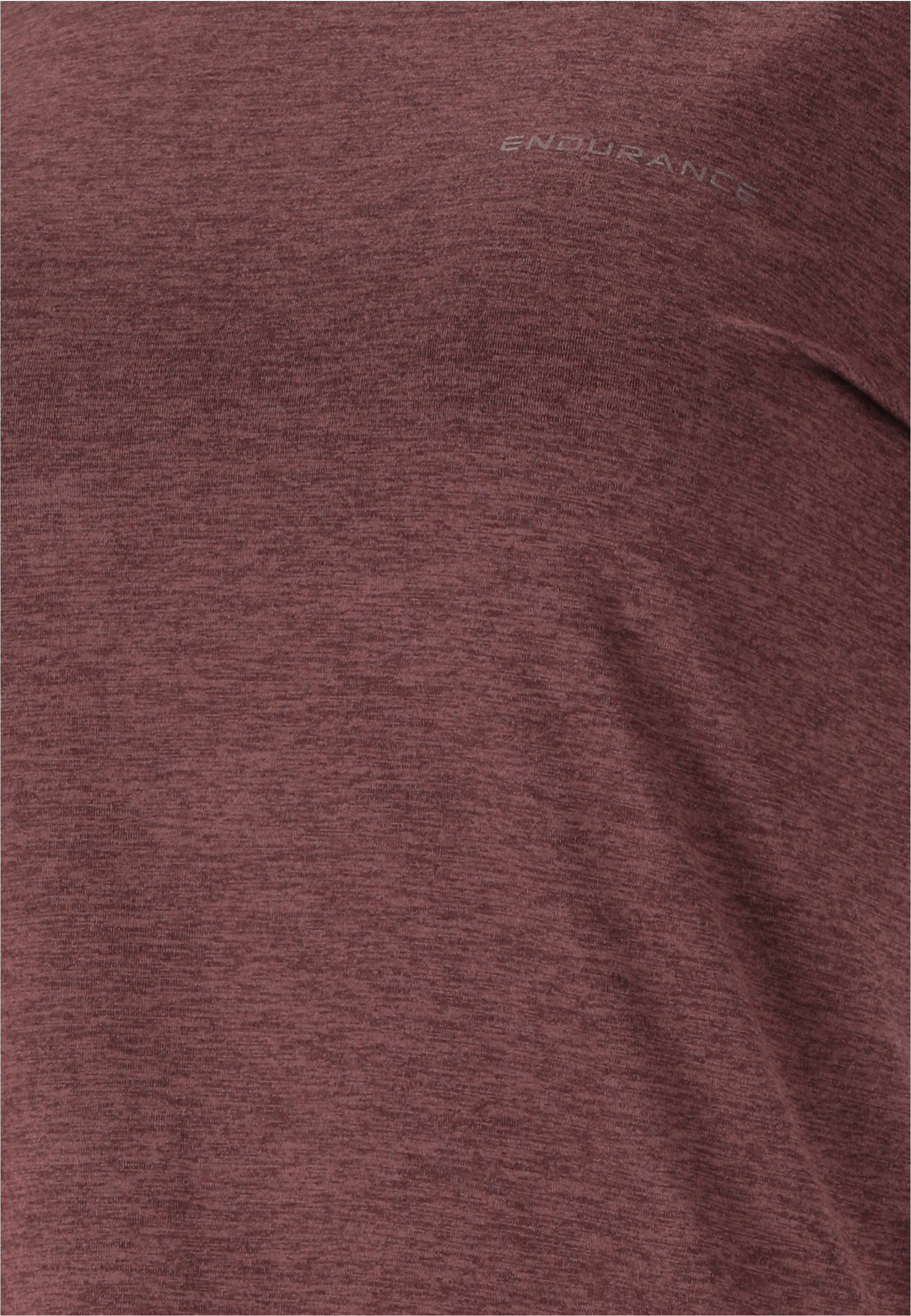 ENDURANCE Funktionsshirt »Alvaly«, im simplen Design mit Quick Dry-Technologie