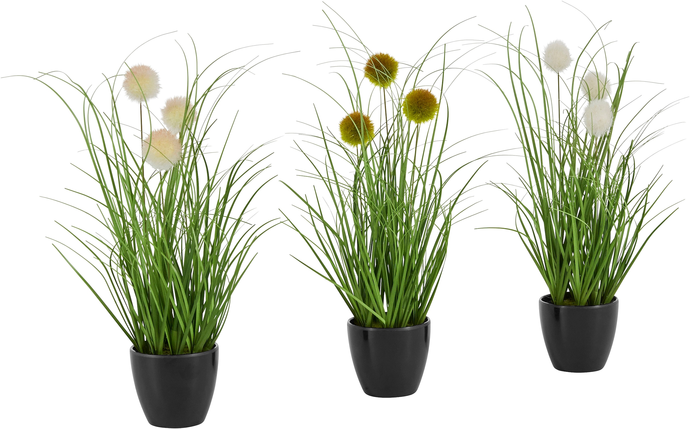 mit Gras, 3er-Set »Grasbusch | Kletten«, bestellen Leonique Kunstpflanze, im BAUR Topf, Kunstgras