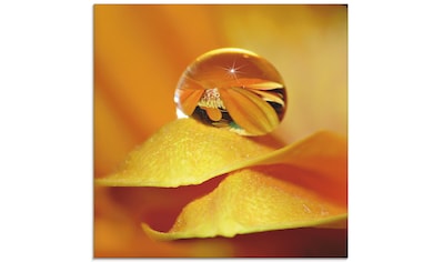 Artland Glasbild »Wassertropfen II«, Blätter, (1 St.) kaufen