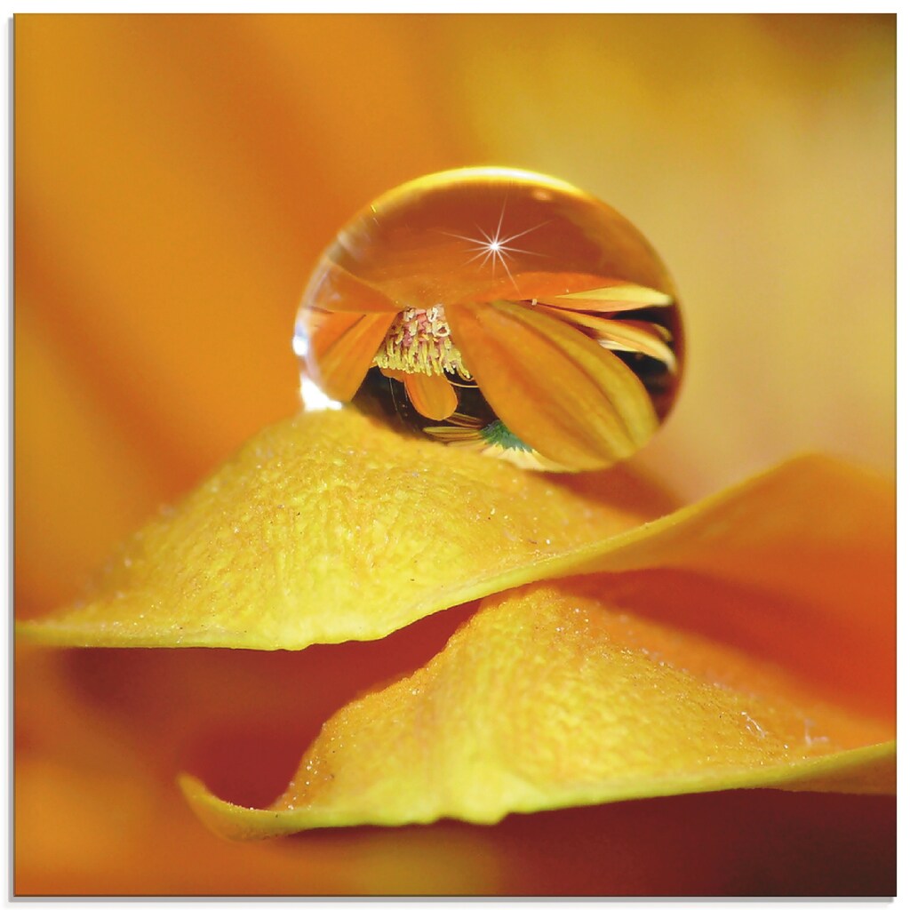 Artland Glasbild »Wassertropfen II«, Blätter, (1 St.)