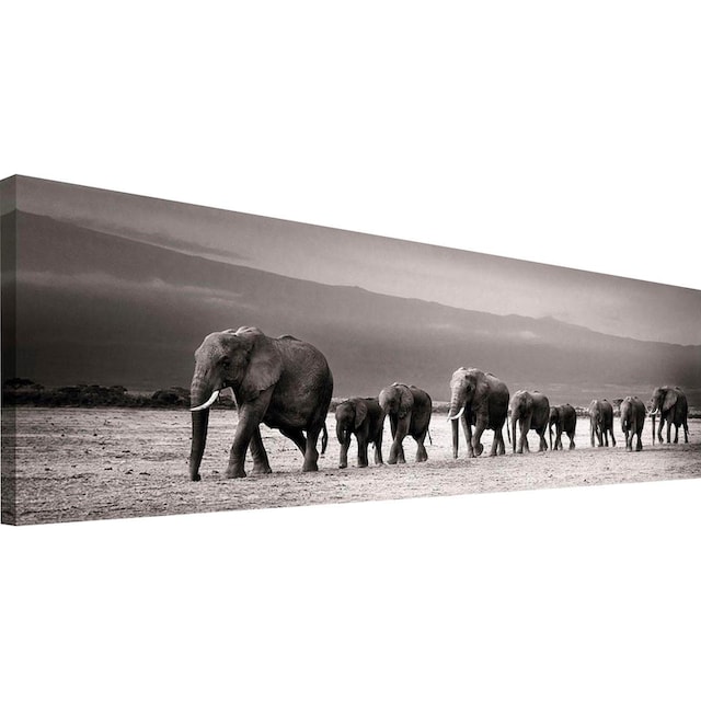 Reinders! Wandbild »Elefantenparade« kaufen | BAUR