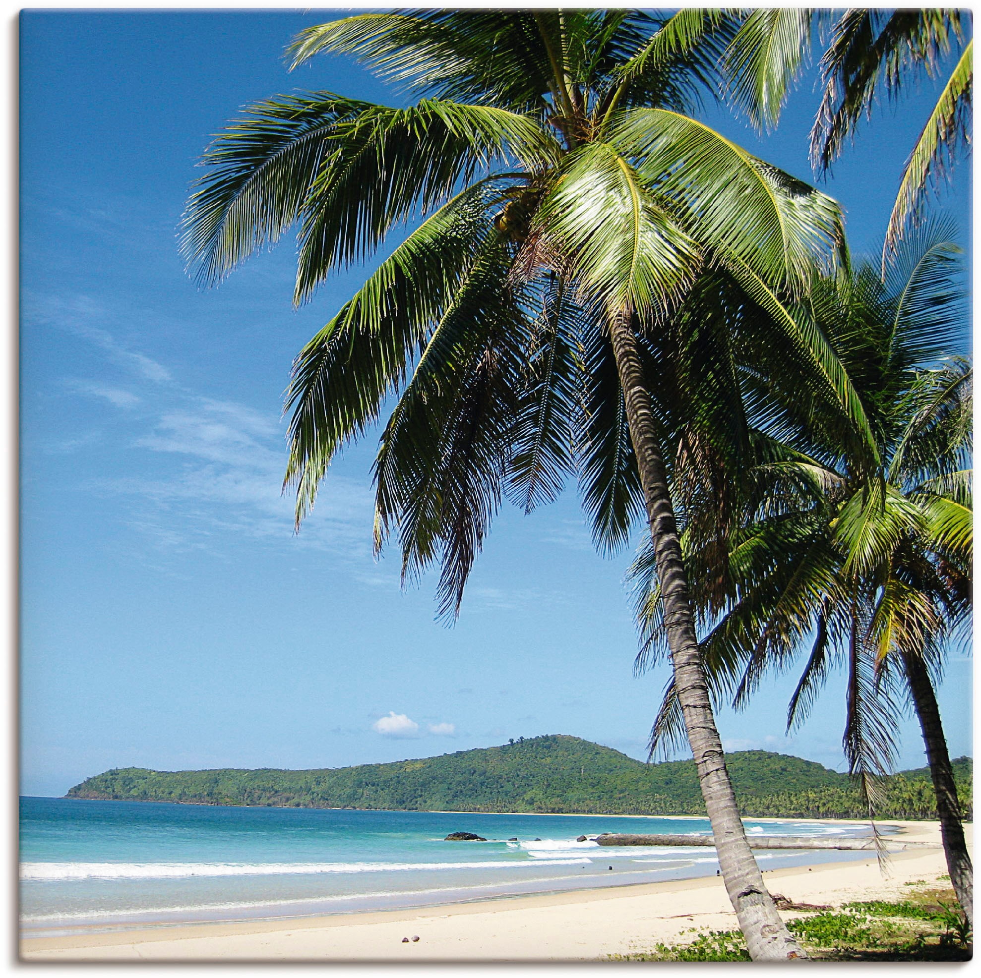 Artland Wandbild "Strand mit Palmen", Strandbilder, (1 St.), als Alubild, Outdoorbild, Leinwandbild, Poster, Wandaufkleb